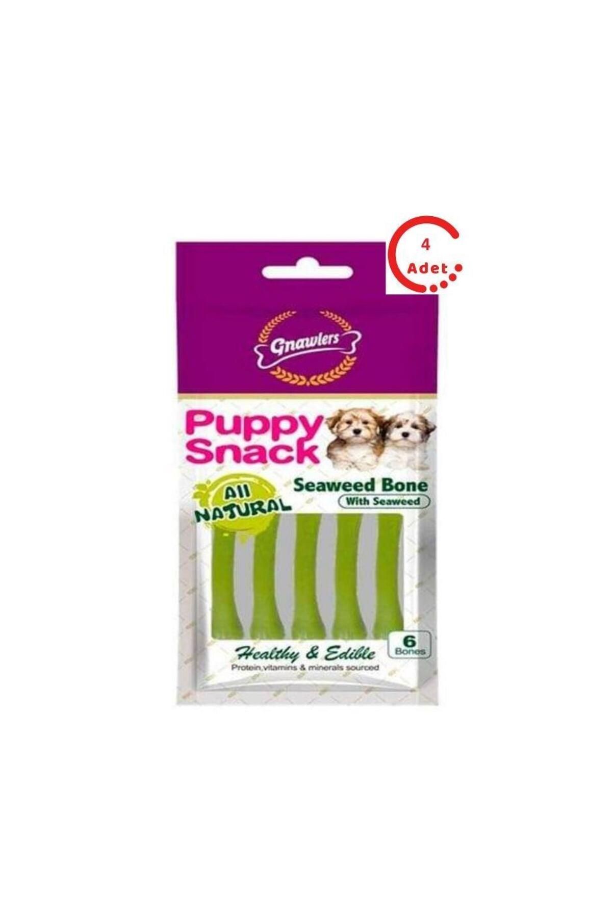 Gnawlers Yavru Köpek Ödülü Seaweed Bone 6'lı Paket x 4 Adet