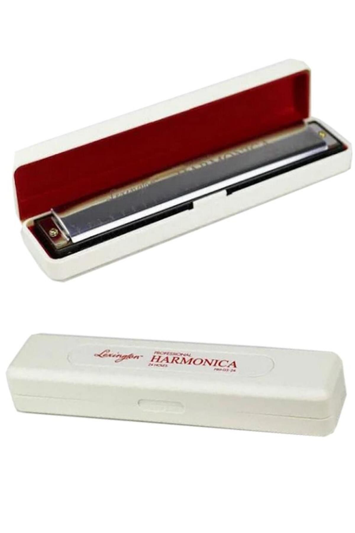 Müzikal Dükkan Lexington 24 Delikli Mızıka Professional Harmonica C Do