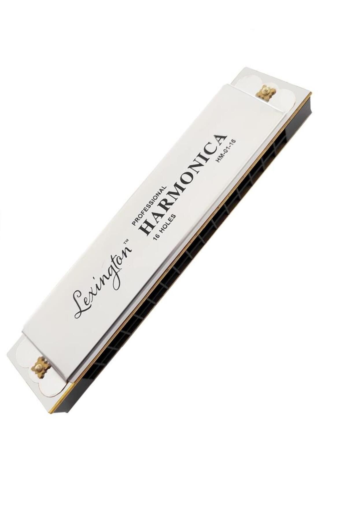 Müzikal Dükkan Lexington 16 Delikli Mızıka Professional Harmonica