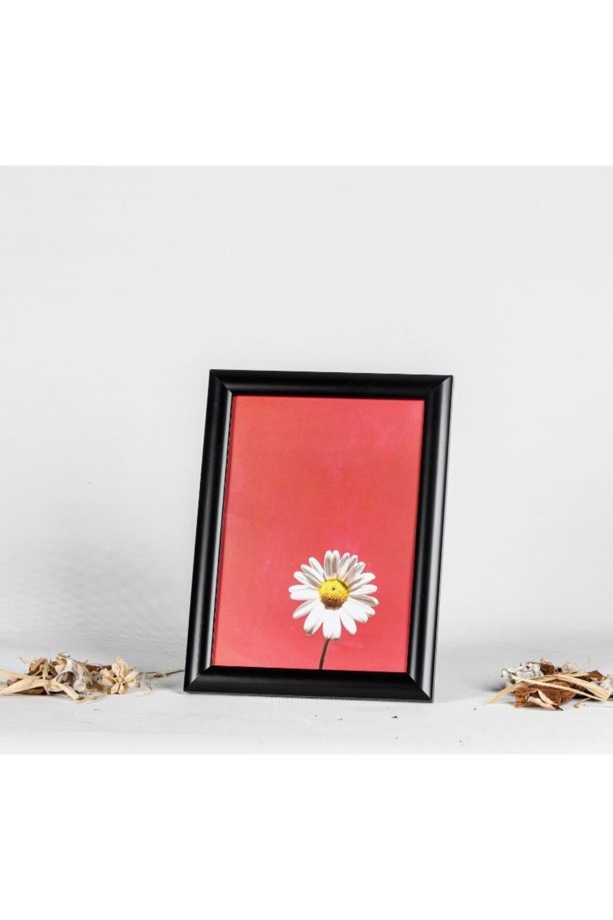 AS TİCARET 21x30 Evrak Poster Resim Fotoğraf Belge Çerçevesi Ayaklı Model