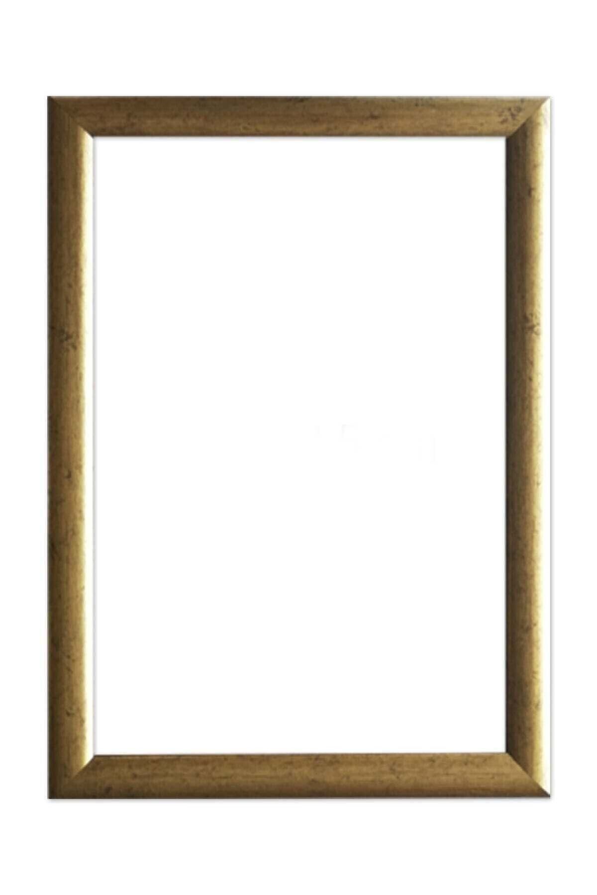 AS TİCARET 30x40 Altın Rengi Pvc Lı Çerçeve