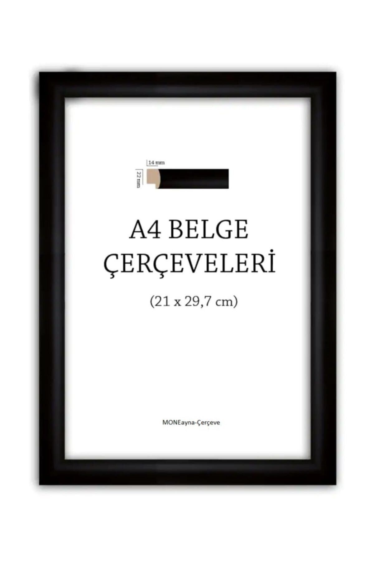 AS TİCARET Mone-a4 Belgelik 1.sınıf Kahve Çerçeve (22mm)