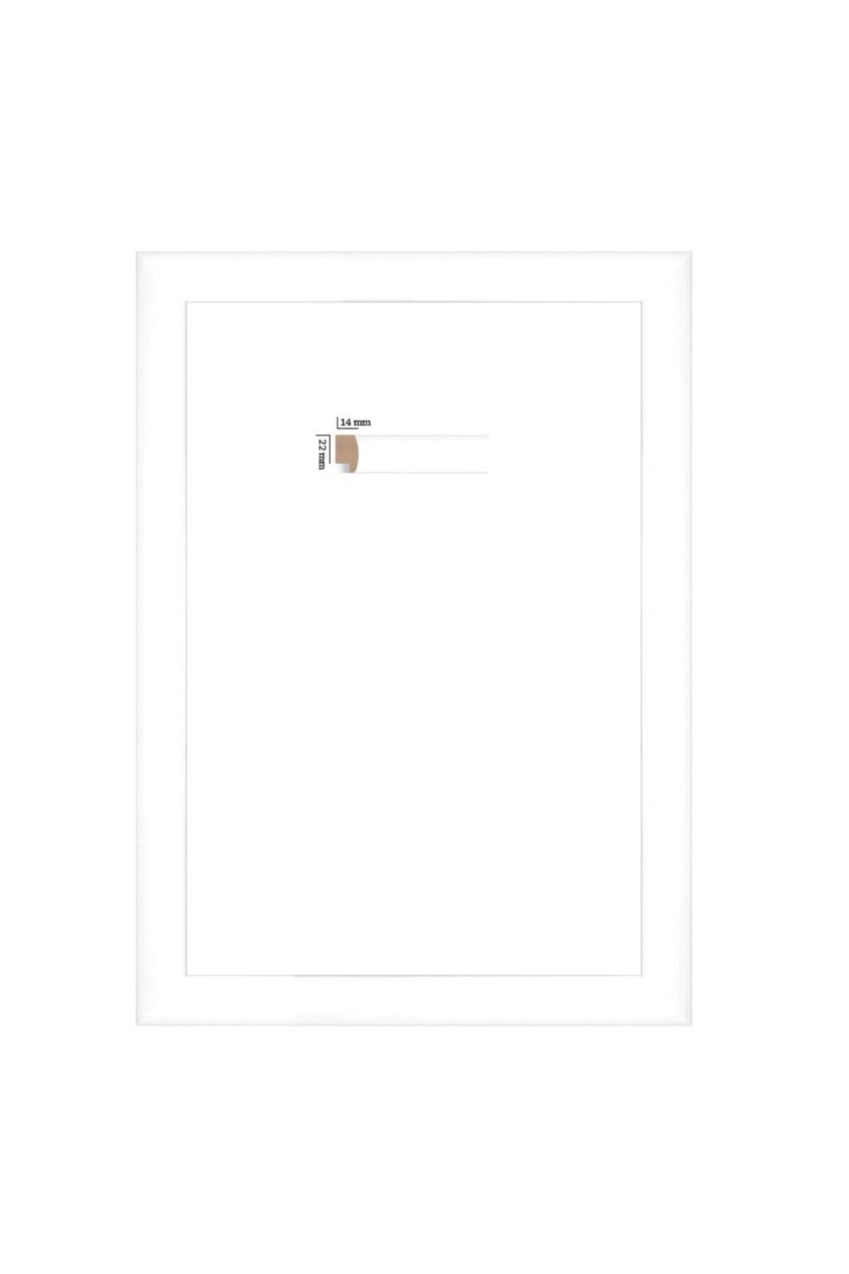 AS TİCARET Puzzle Çerçevesi 22 Mm Pvc Camlı 48x68 (1000'luk) Beyaz 0278seri