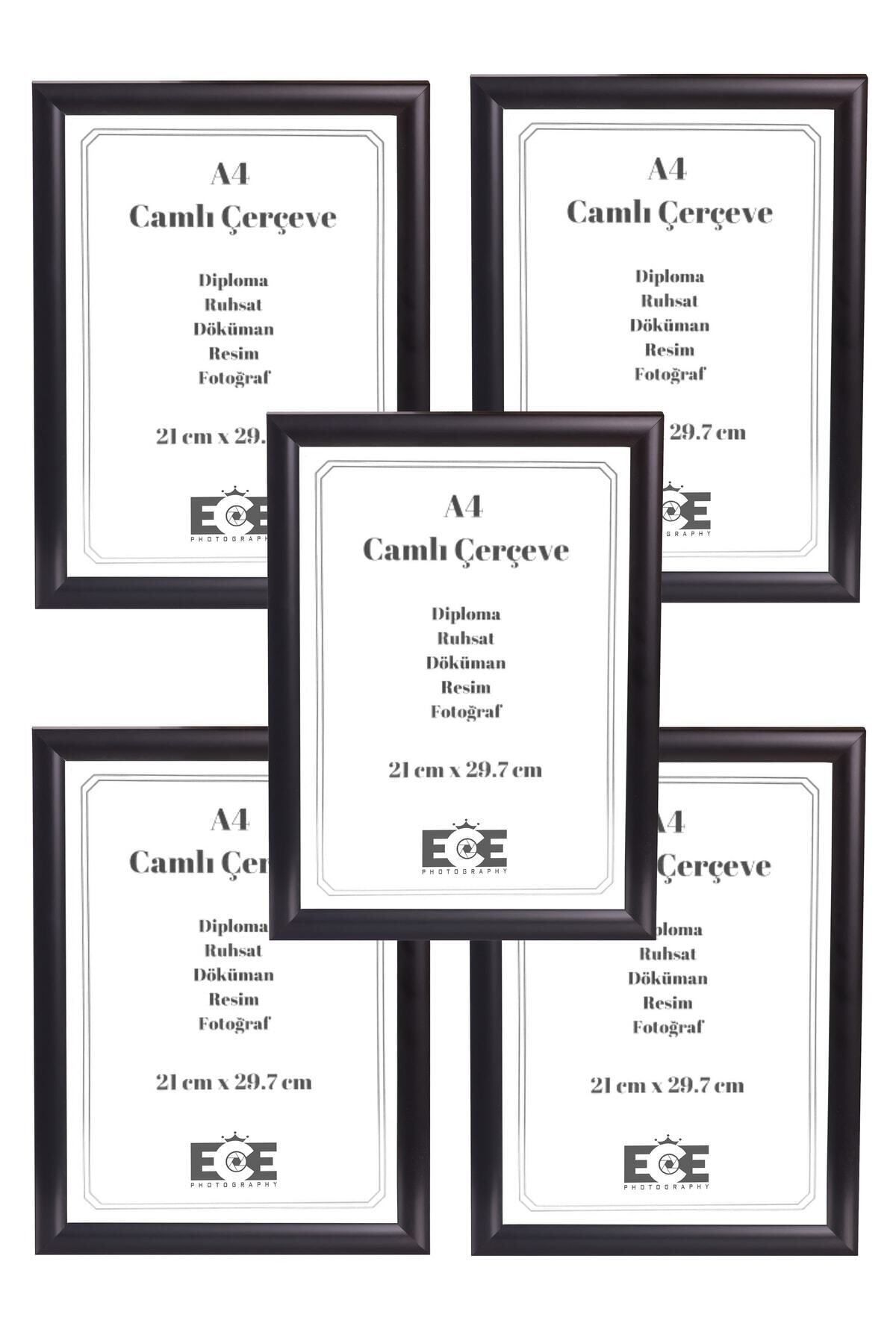 AS TİCARET 5 Adet Pvc Camlı A4 Çerçeve (SİYAH)