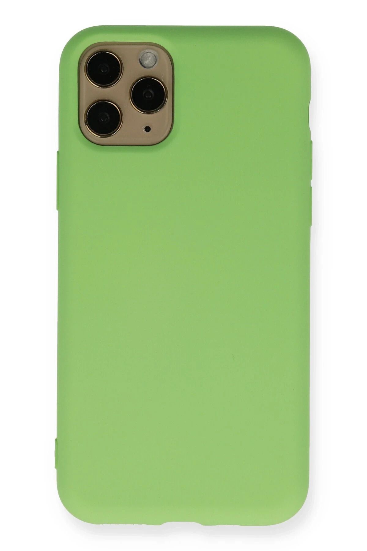 NewFace iPhone 11 Pro Uyumlu Kılıf Nano içi Kadife Silikon - Yeşil HNZRN