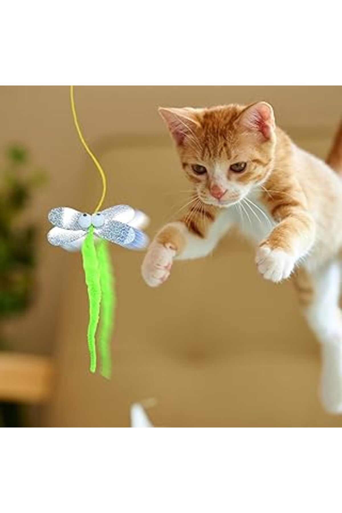 karadağsb Okavango Elastik Kendinden Yapışkanlı Renkli Kedi Oyun Oltası Kedi Oyuncağı Yapışkanlı Olta Eğitim