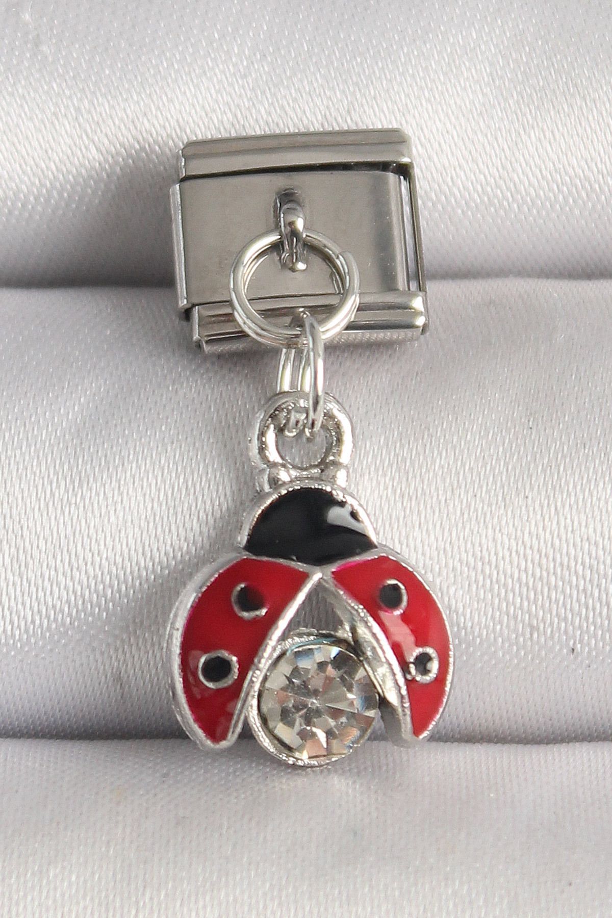 OEM 316L Çelik Gümüş Renk Zirkon Taşlı Uğur Böceği Model Nomination Charm