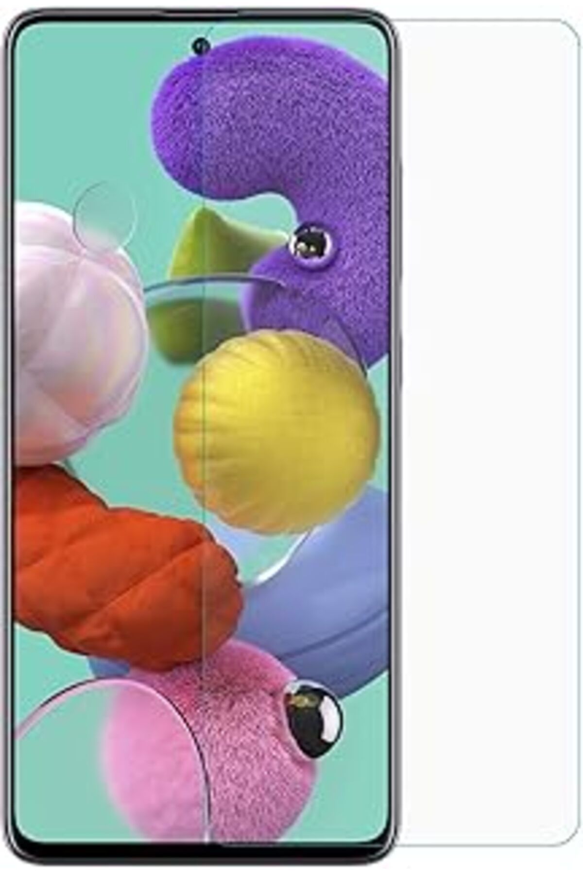 jupiter global bazaar Microsonic Samsung Galaxy A51 Nano Cam Ekran Koruyucu