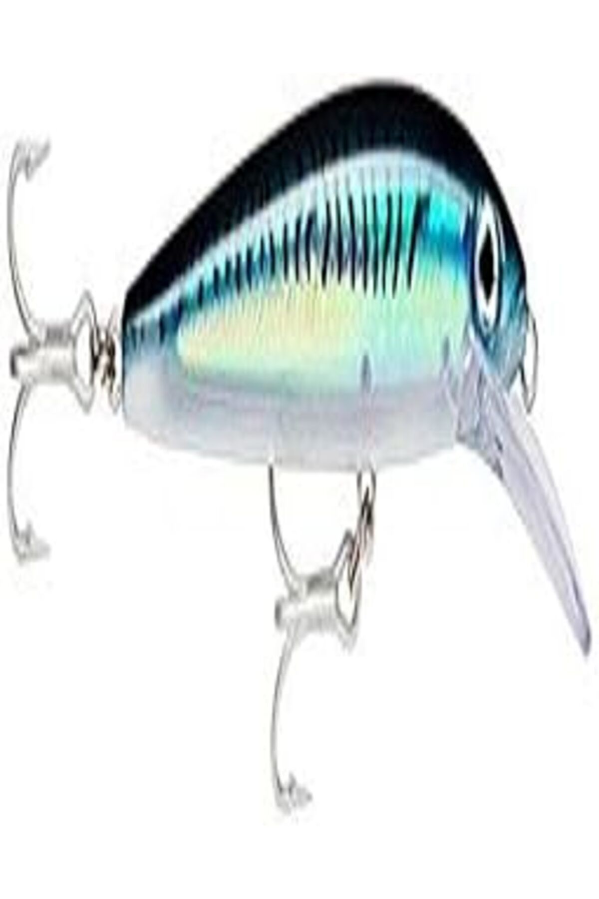 nazeninstoğu Rapala Husky Magnum Balığı