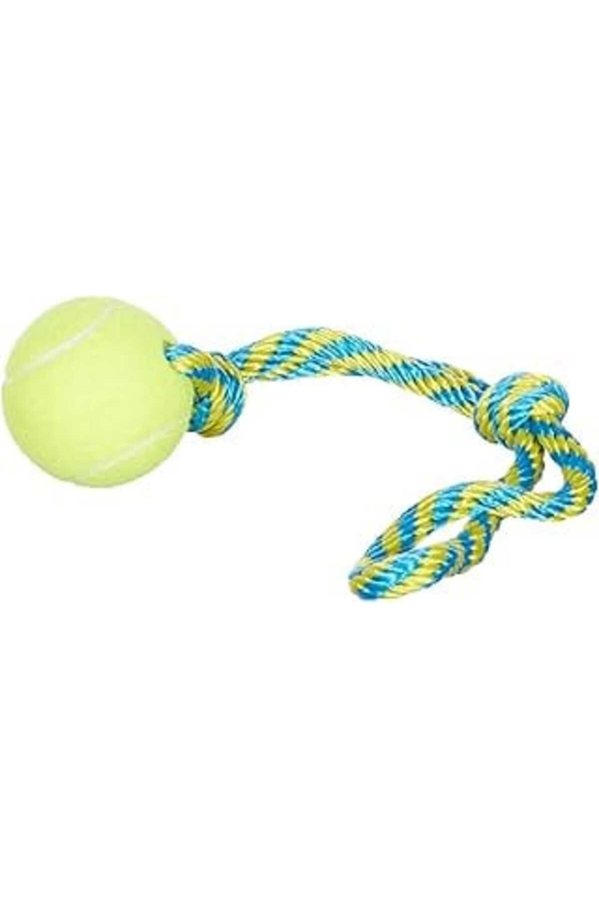 Mu Art Ahşap Pawise Tennis Bouncer Toss Köpek Oyuncağı