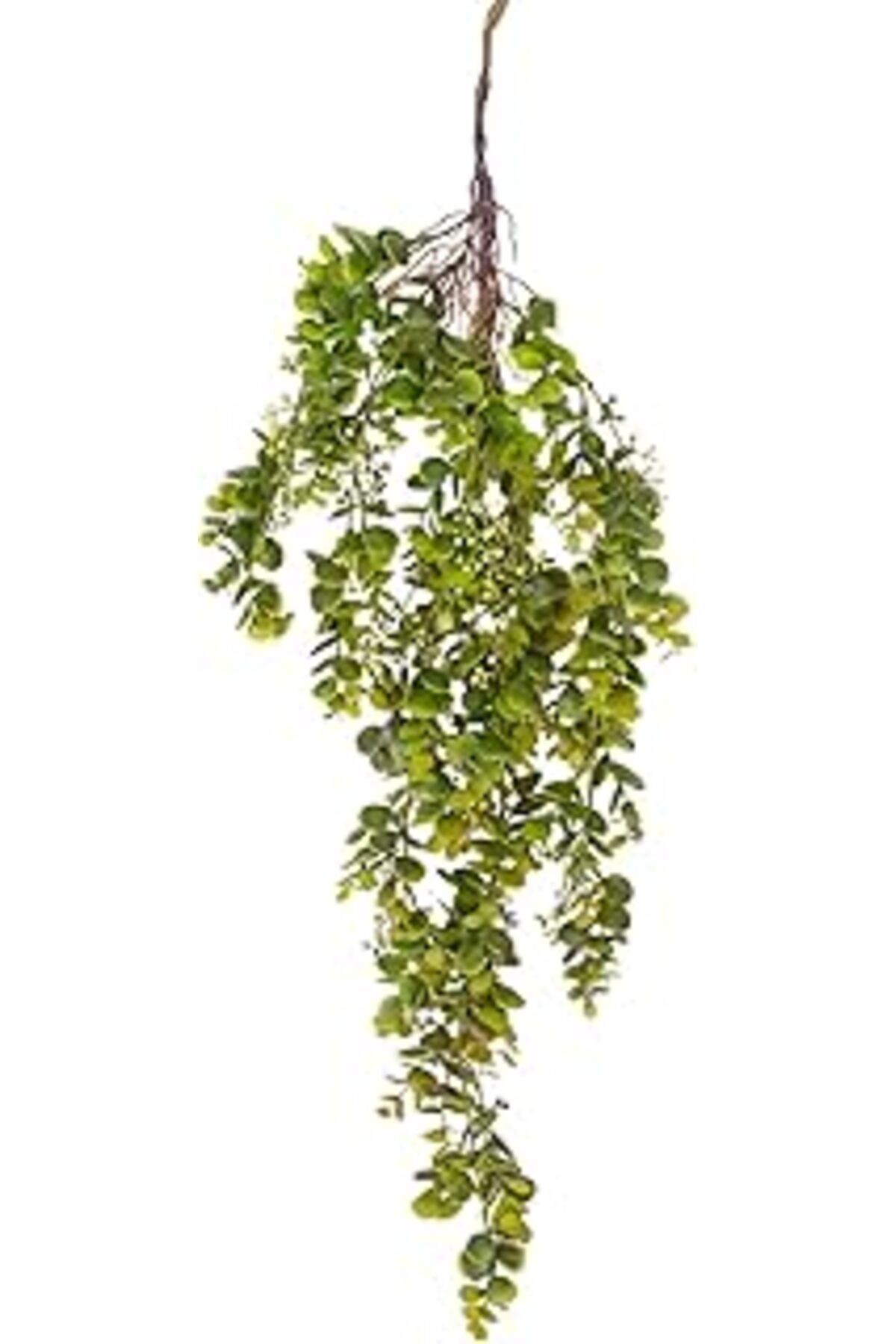 DENİZBİLİŞİM Herdekora Yapay Bitki Sarkan Sarmaşık Okaliptus Yeşil 100 Cm.