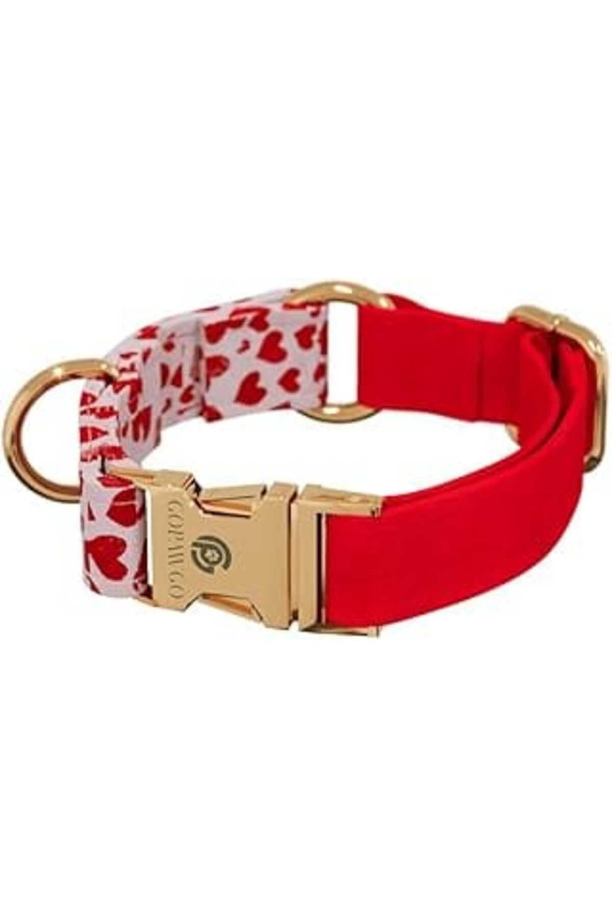 Mu Art Gopawgo Valentine Quick Release Premium Köpek Tasması | El Yapımı | Büyük Ve Küçük Köpekler Ayarlan