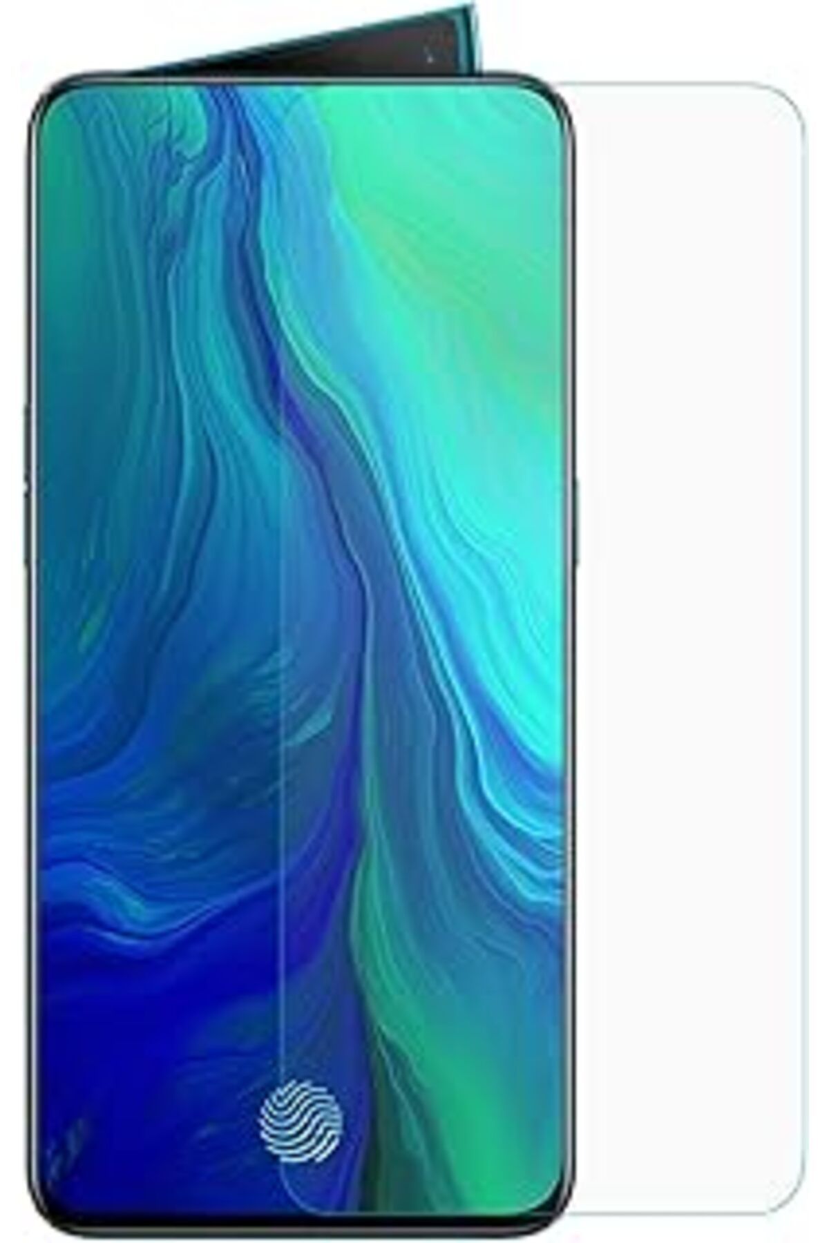 Pazarcan Microsonic Oppo Reno 10X Zoom Nano Cam Ekran Koruyucu