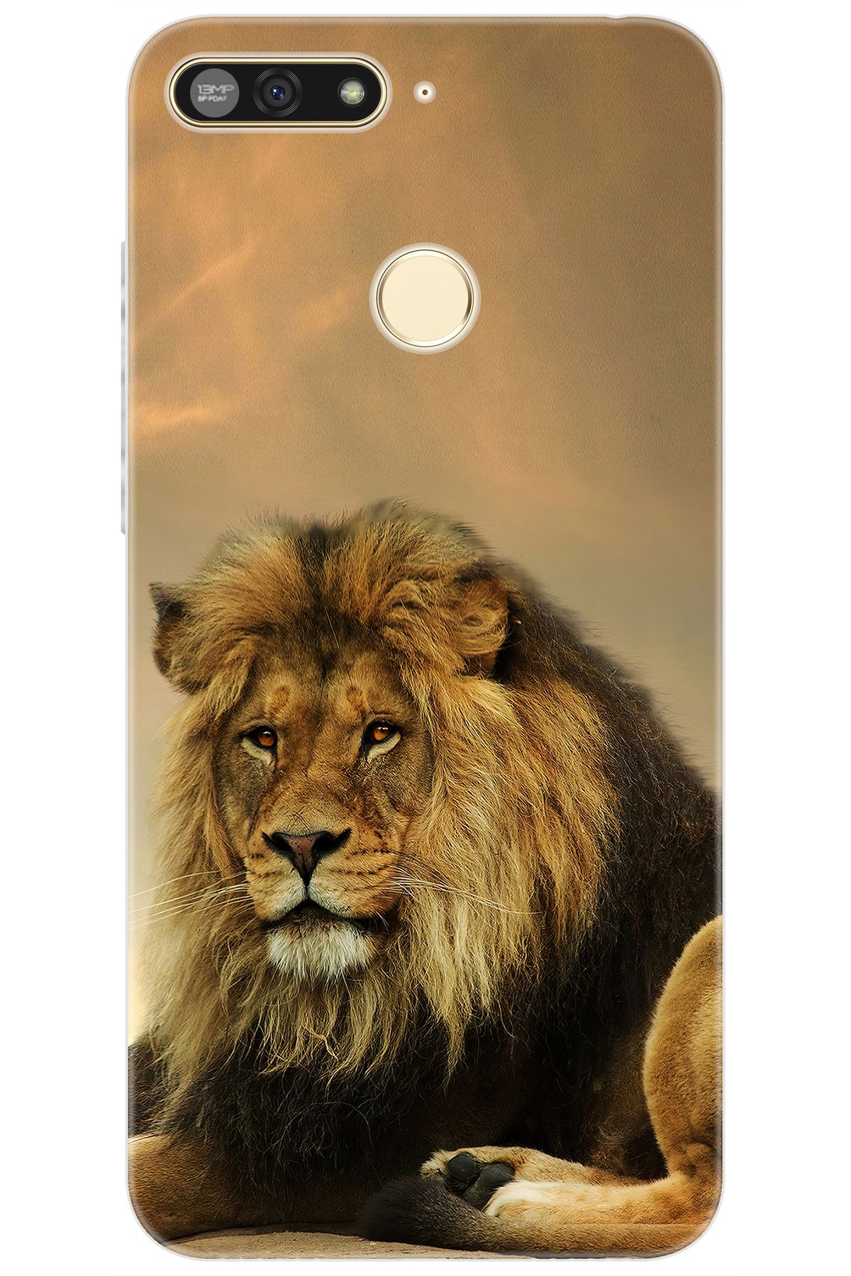 Ceppare Huawei Y6 2018 (ATU-L21) Uyumlu Kılıf Desen Baskılı Silikon Kral Aslan STK:207 CP-EaABgif