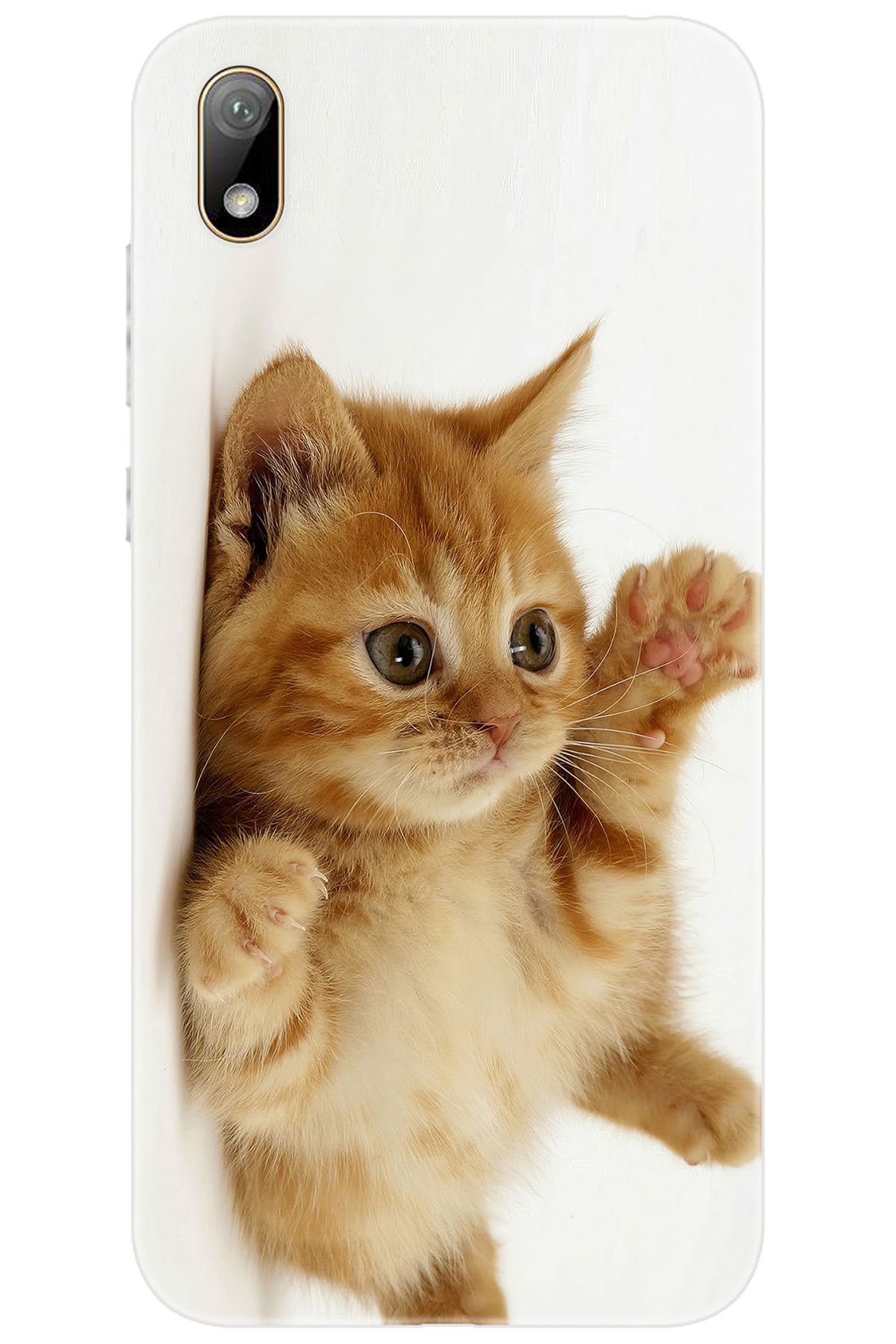 Ceppare Huawei Y5 2019 (AMN-LX2/LX9) Uyumlu Kılıf Desen Baskılı Silikon Sevimli Kedi STK:205 CP-x9wpIJ5