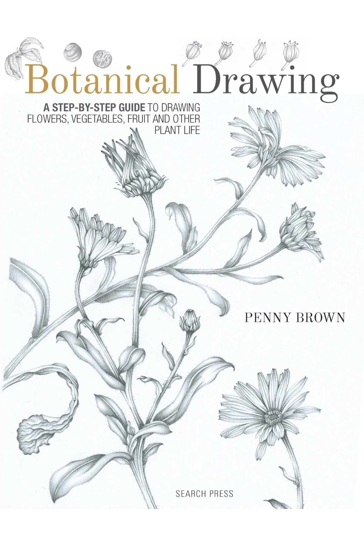 STOREMAX nffastore Drawing: A Step-by-Step Guide to Drawing Flowers, Vegetables, Fruit and Other Plant Life S
