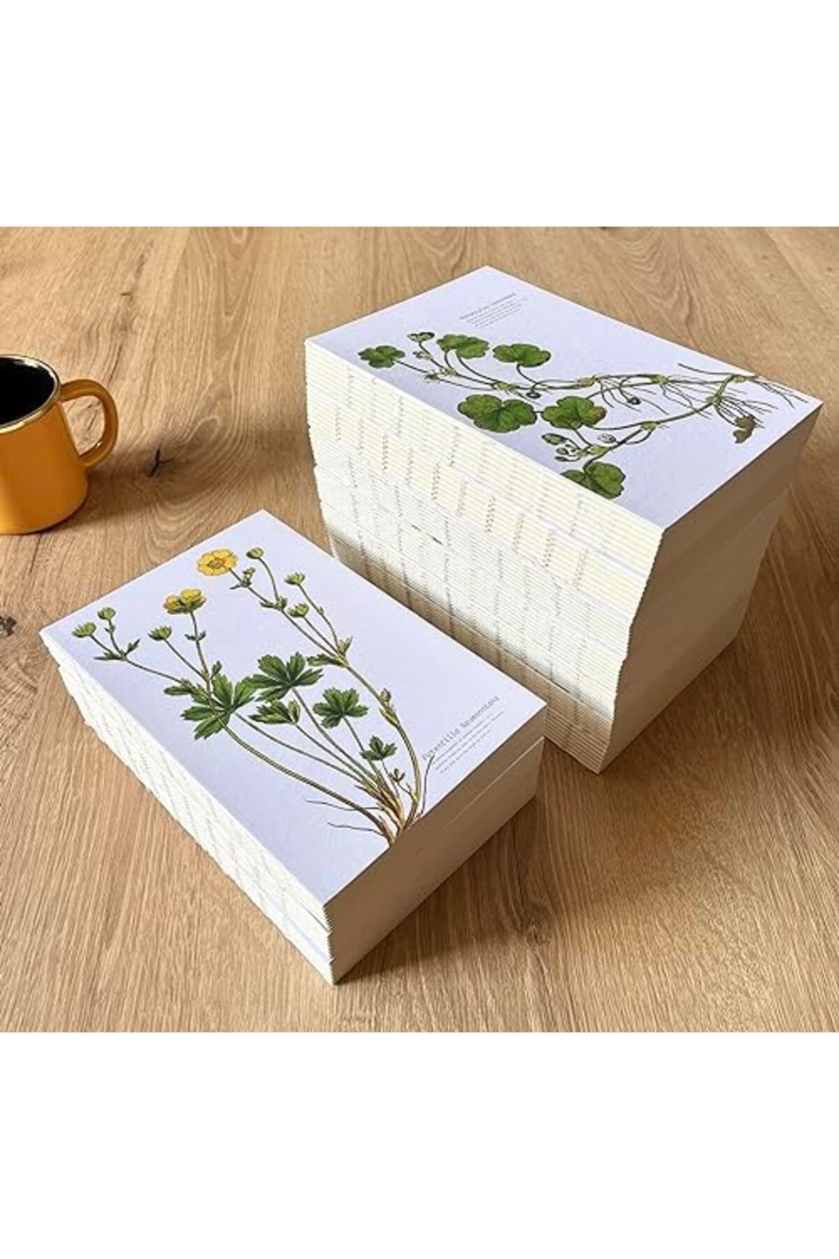 STOREMAX-Jvnnastore Promotional Special Design A5 Unlined Notebook with Cover - Can Be Opened 180 Degrees, Back 3