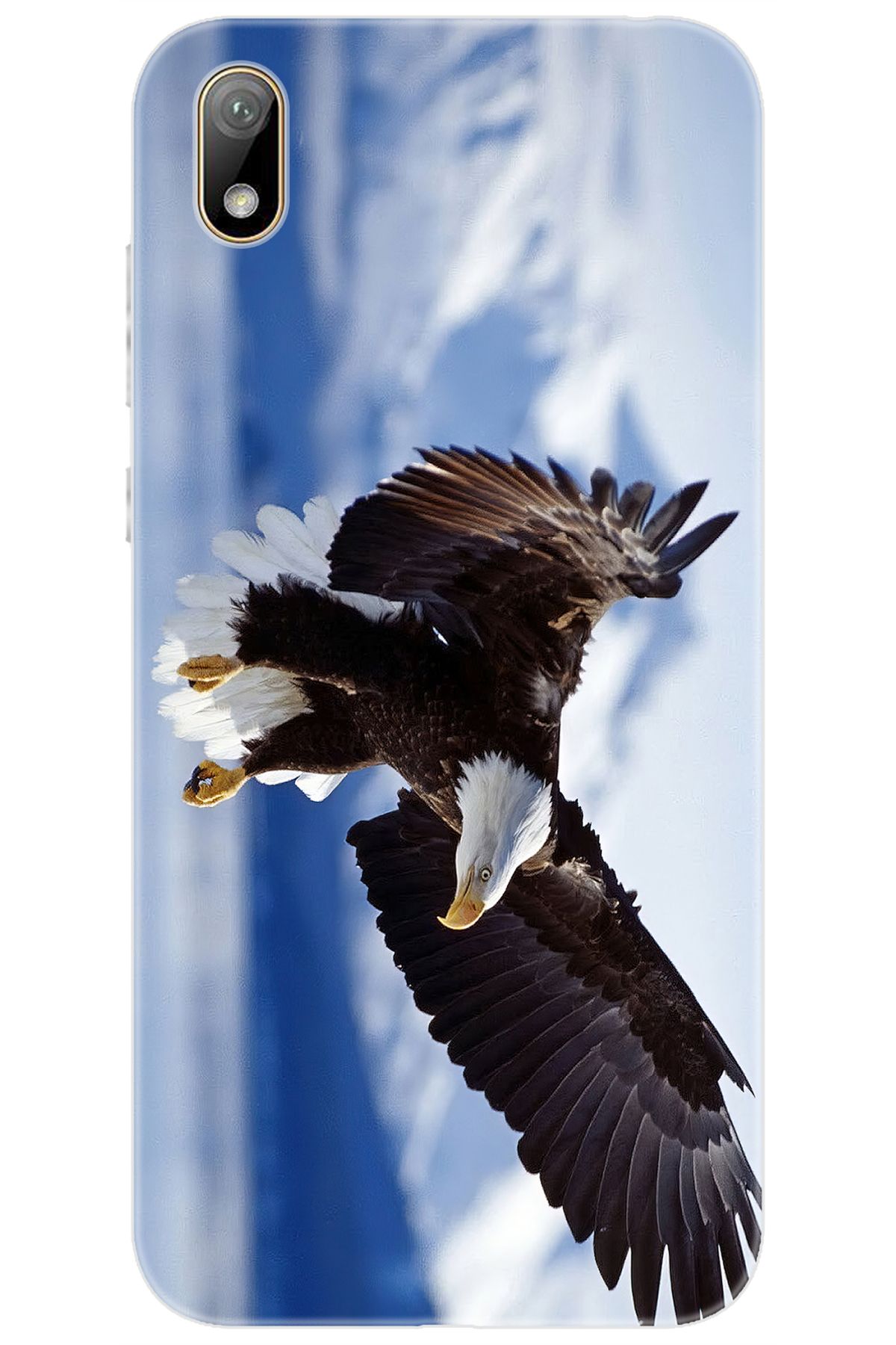 Ceppare Huawei Y5 2019 (AMN-LX2/LX9) Uyumlu Kılıf Desen Baskılı Silikon Kartal STK:183 CP-geGIe9X