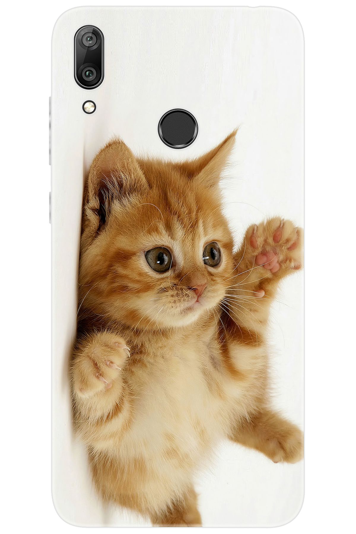 Ceppare Huawei Y7 Prime 2019 (DUB-LX3) Uyumlu Kılıf Desen Baskı Silikon Sevimli Kedi STK:205 CP-gW8zC5L