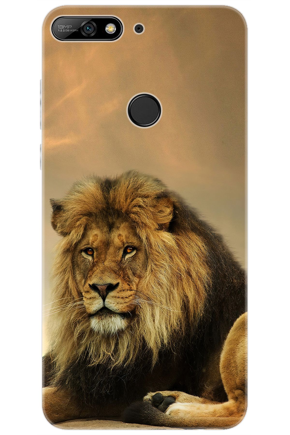 Ceppare Huawei Y7 Prime 2018 (LDN-L21) Uyumlu Kılıf Desen Baskı Silikon Kral Aslan STK:207 CP-so2D7qY