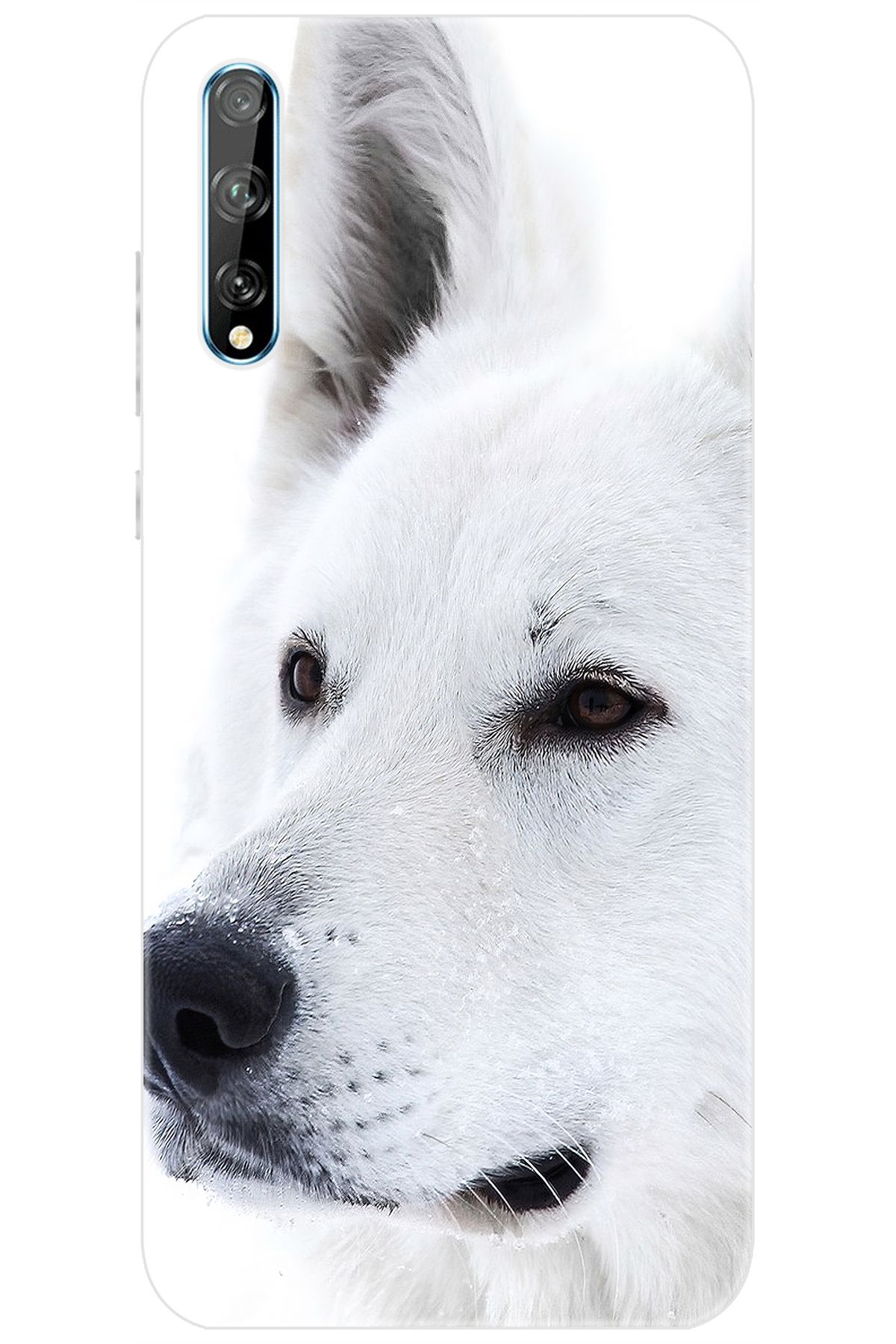 Ceppare Huawei Y8P (AQM-LX1) Uyumlu Kılıf Desen Baskılı Silikon Beyaz Kurt STK:169 CP-N0XKoVv