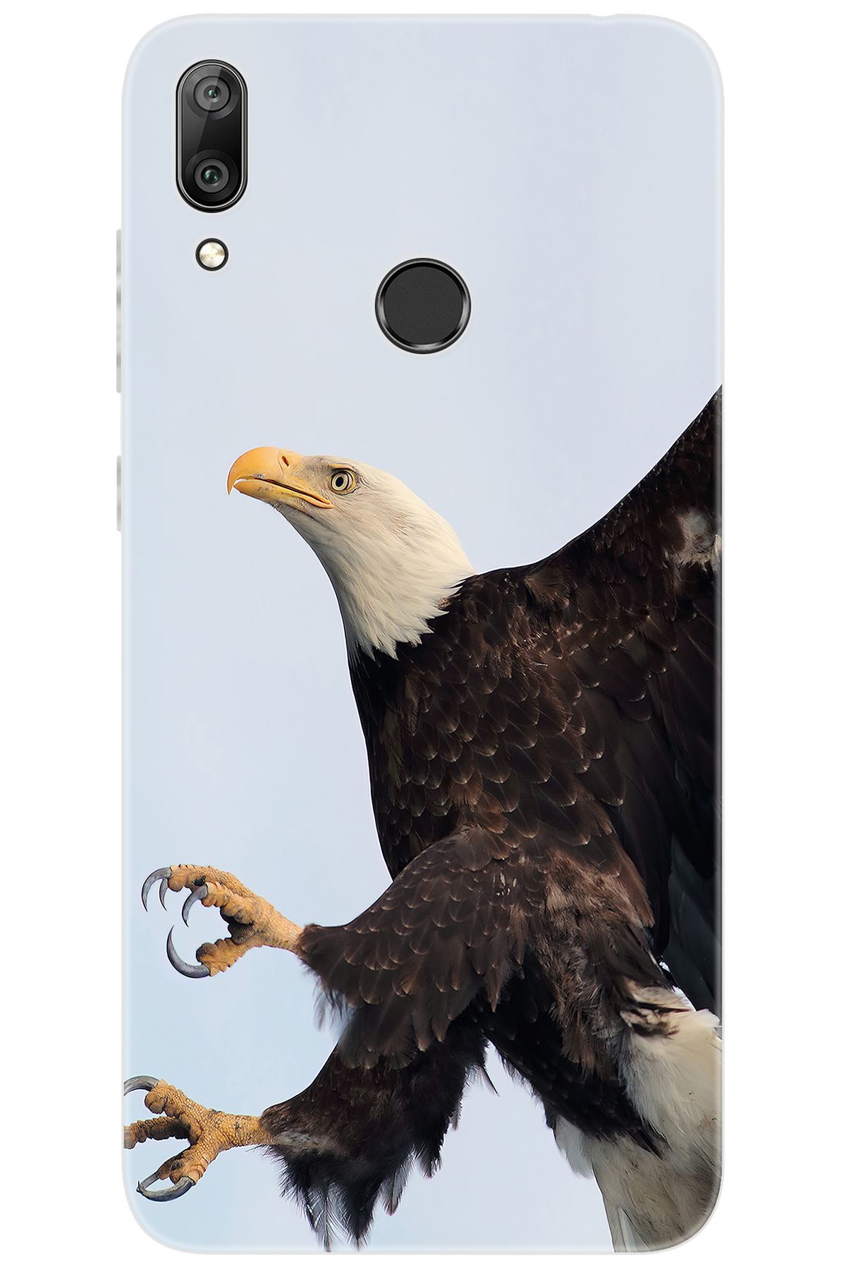 Ceppare Huawei Y7 2019 (DUB-LX1) Uyumlu Kılıf Desen Baskılı Silikon Kartal STK:189 CP-dXZy6ps
