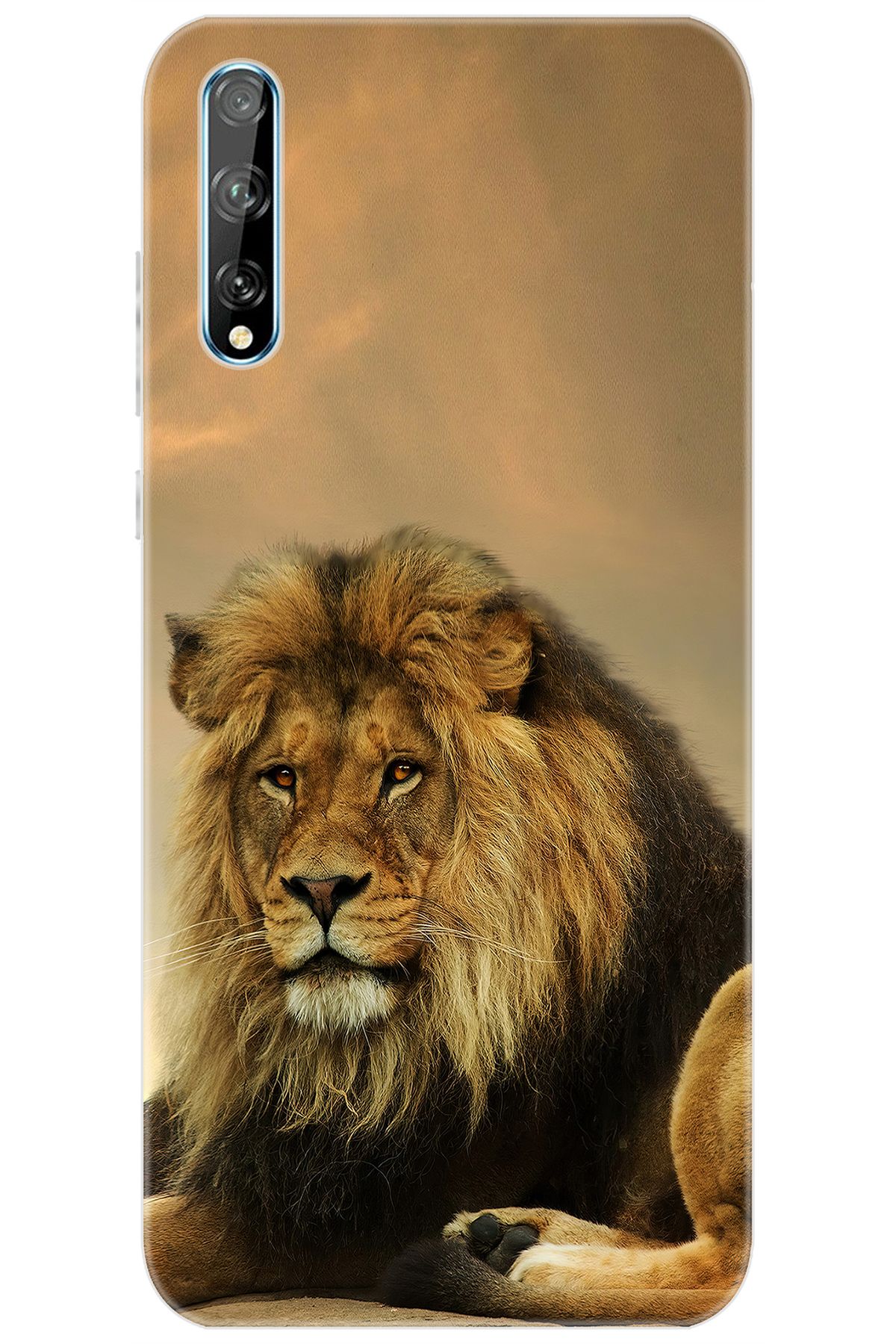 Ceppare Huawei Y8P (AQM-LX1) Uyumlu Kılıf Desen Baskılı Silikon Kral Aslan STK:207 CP-JJozml0