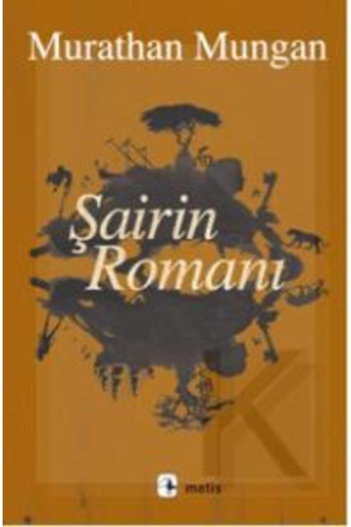 Metis Yayınları Şairin Romanı (Ciltli)