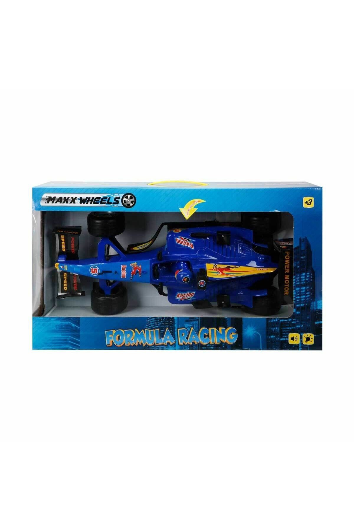 OEM 10091 1:9 Formula Friction 42 cm.