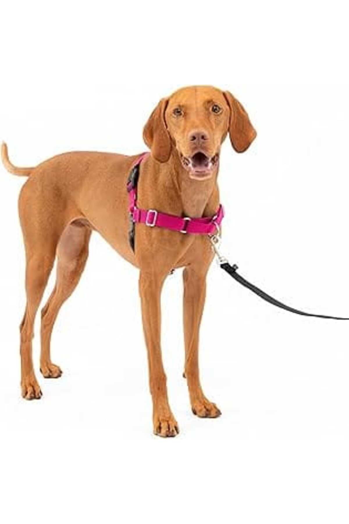 NZM TİCARET Petsafe Easy Walk No-Pull Köpek Göğüs Tasması, Çekmeyi Önlemeye Yardımcı, Kontrolü Ele Alın Ve Tasm
