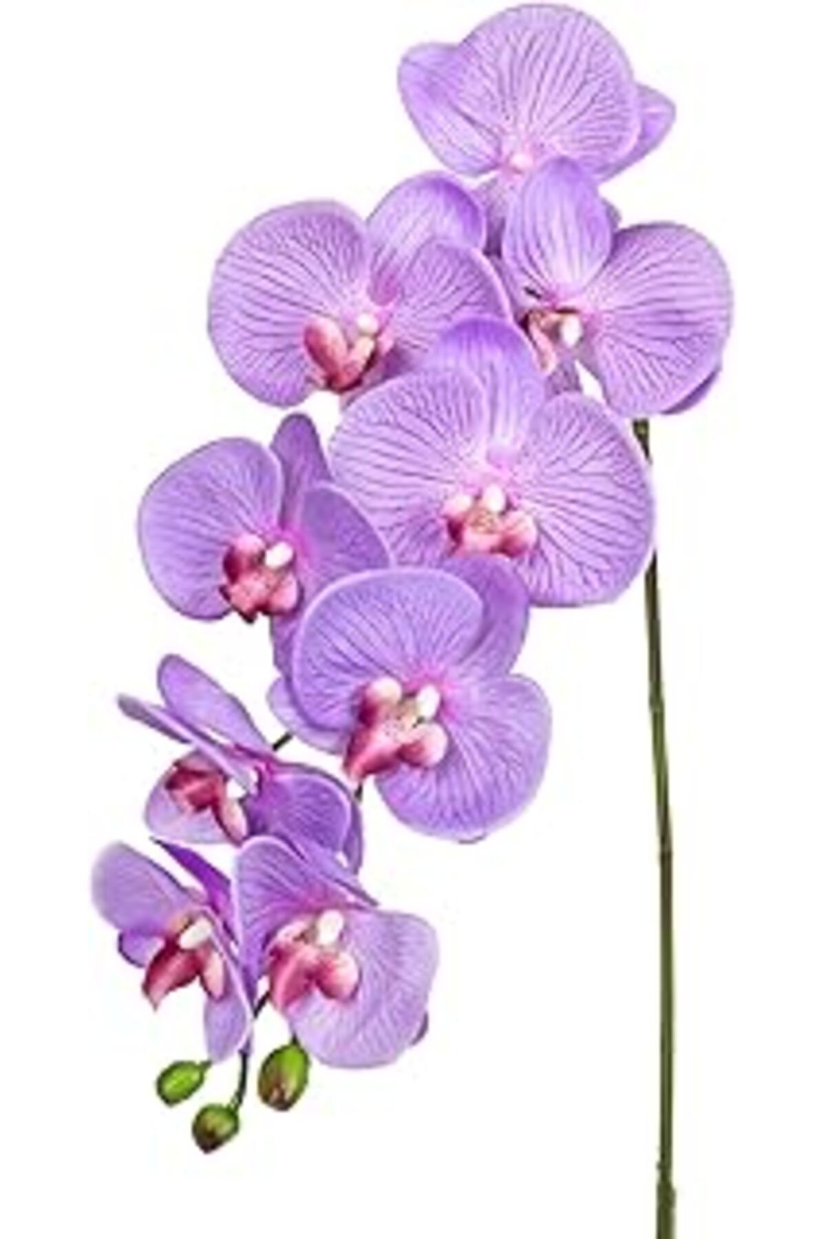 DENİZBİLİŞİM Herdekora Yapay Orkide Gerçek Dokulu Lila 95 Cm.