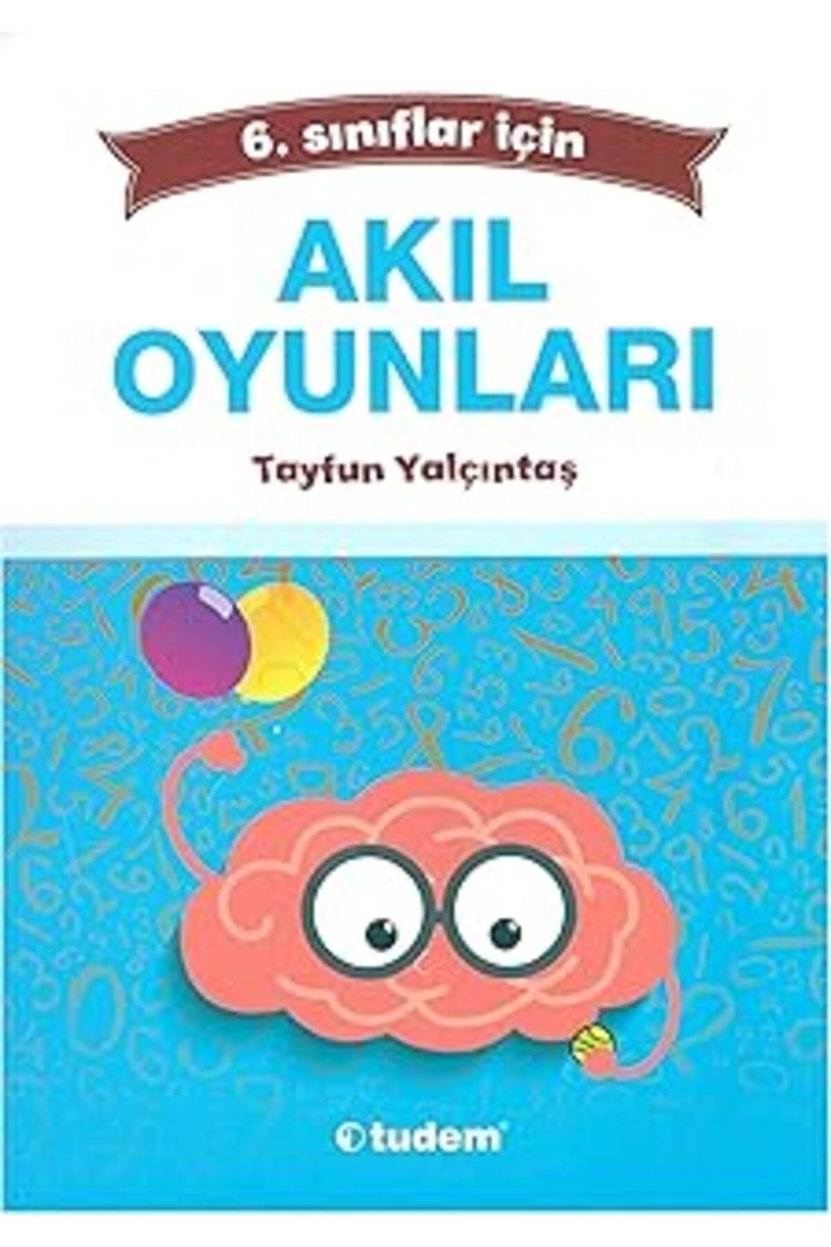 NETWORK ART 6.SINIF AKIL OYUNLARI