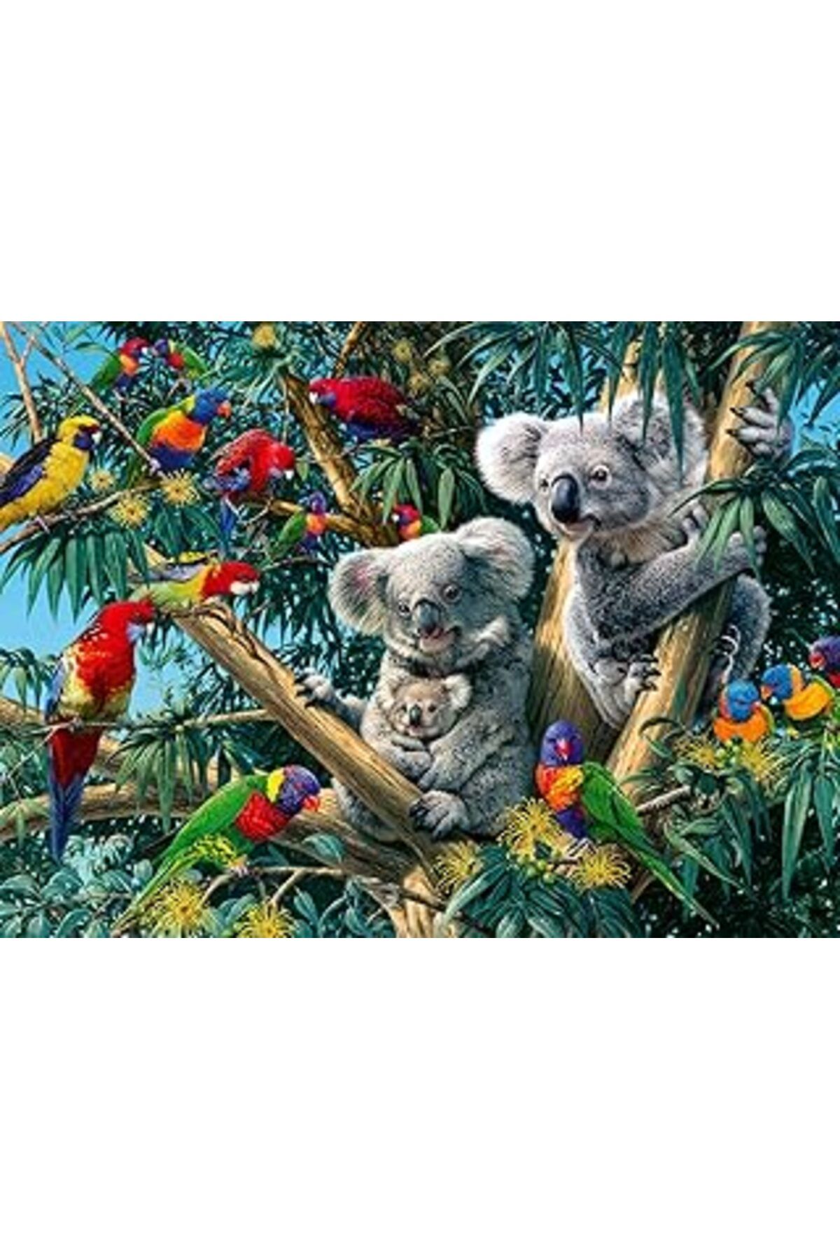 karadağsb Ravensburger 500P Puzzle Koalalar, Yapboz