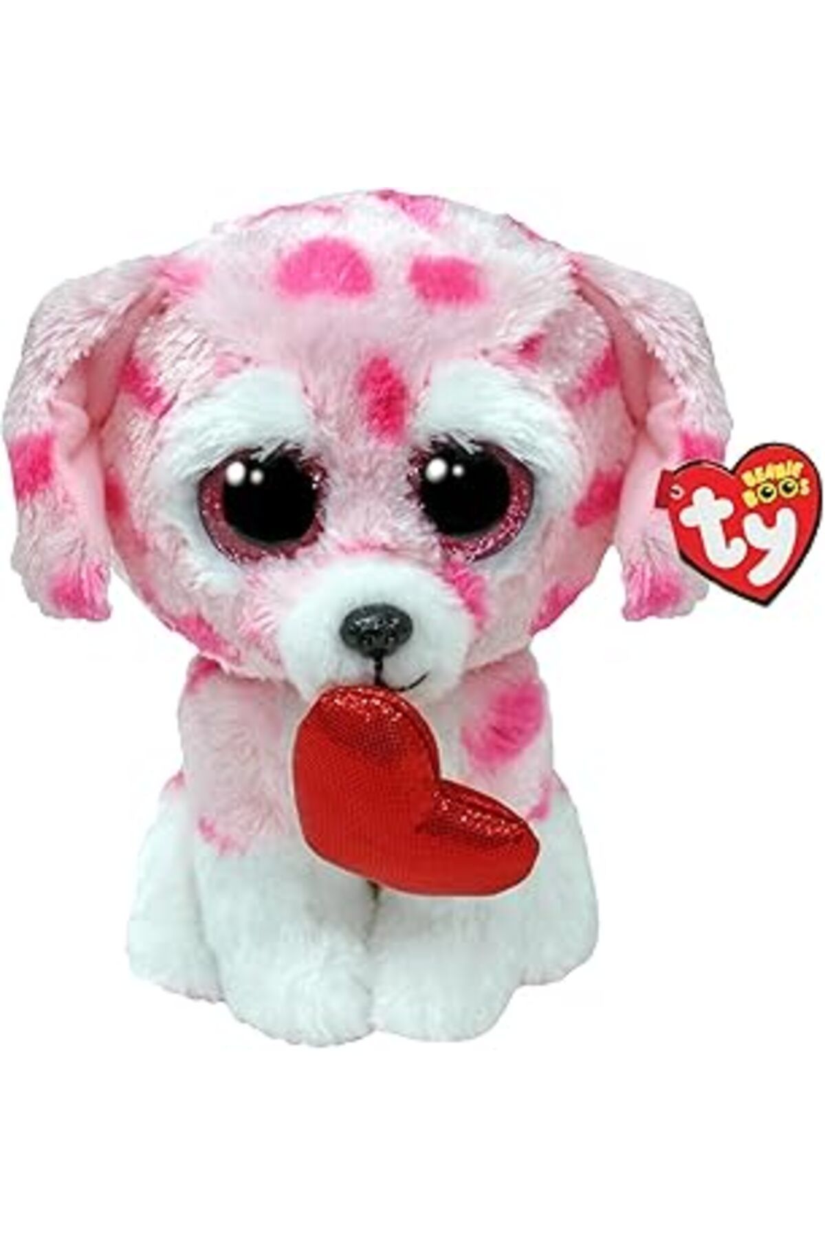karadağsb Ty Rory Dog Val Reg