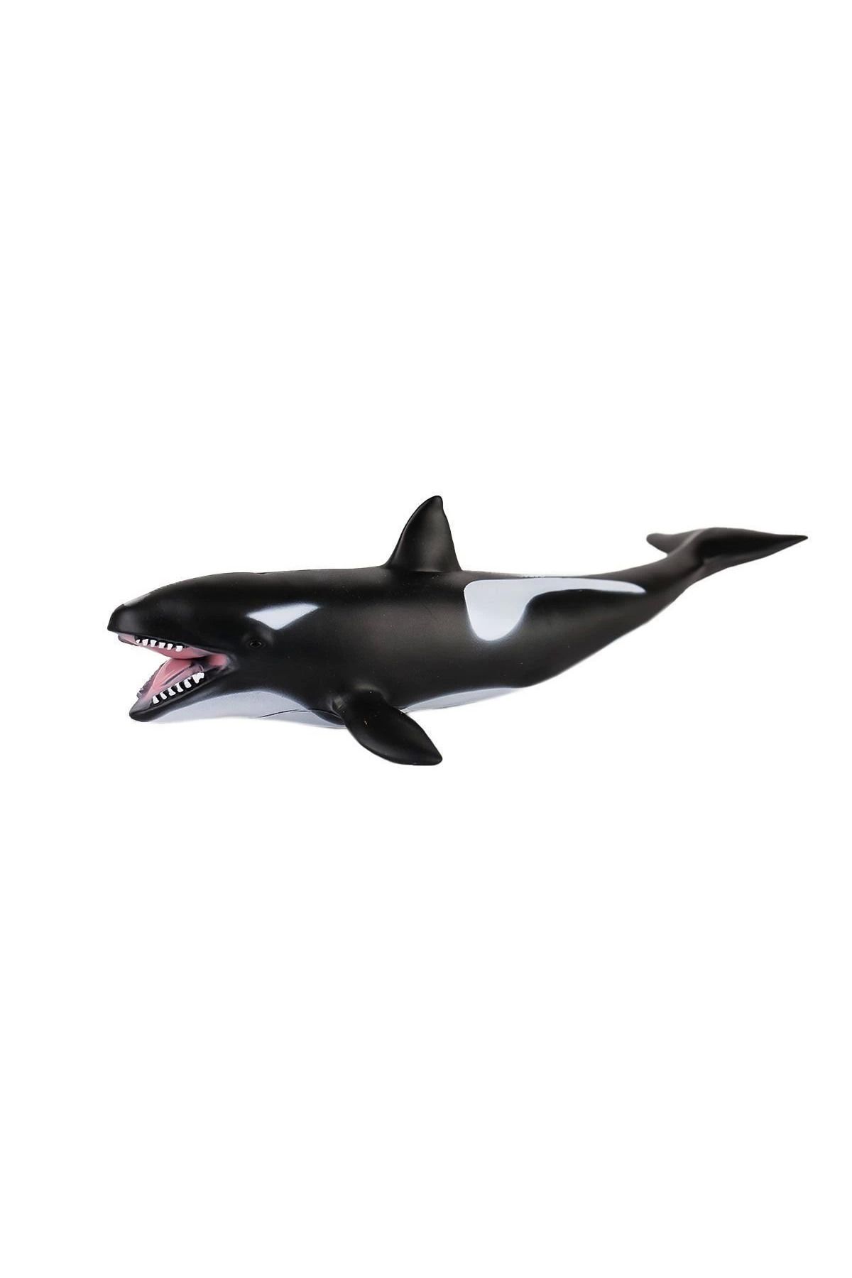 karadağsb Jq-008B Deniz Hayvanları -Gepettoys