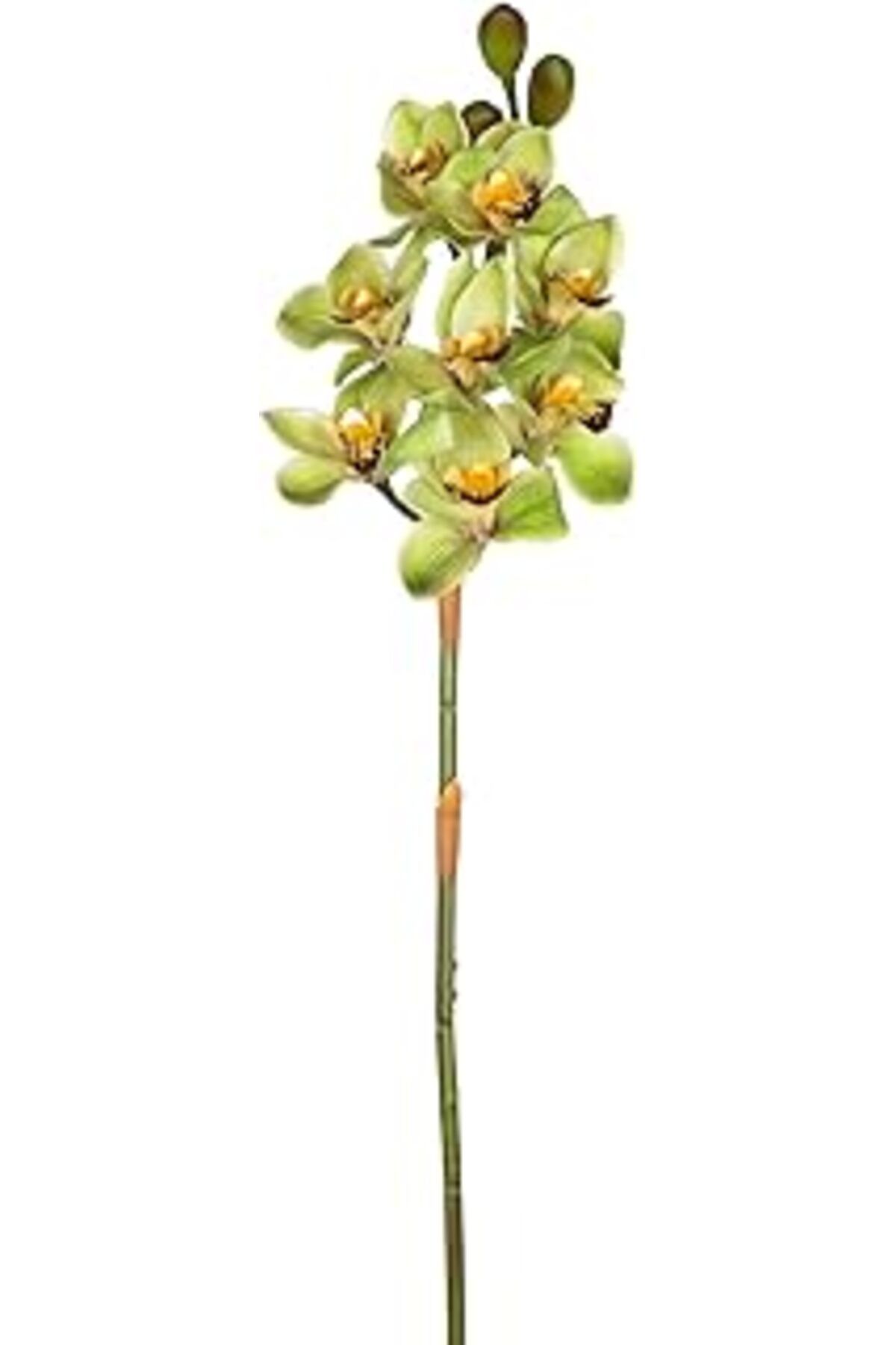 DENİZBİLİŞİM Herdekora Yapay Orkide Gerçek Dokulu Yeşil 75 Cm.
