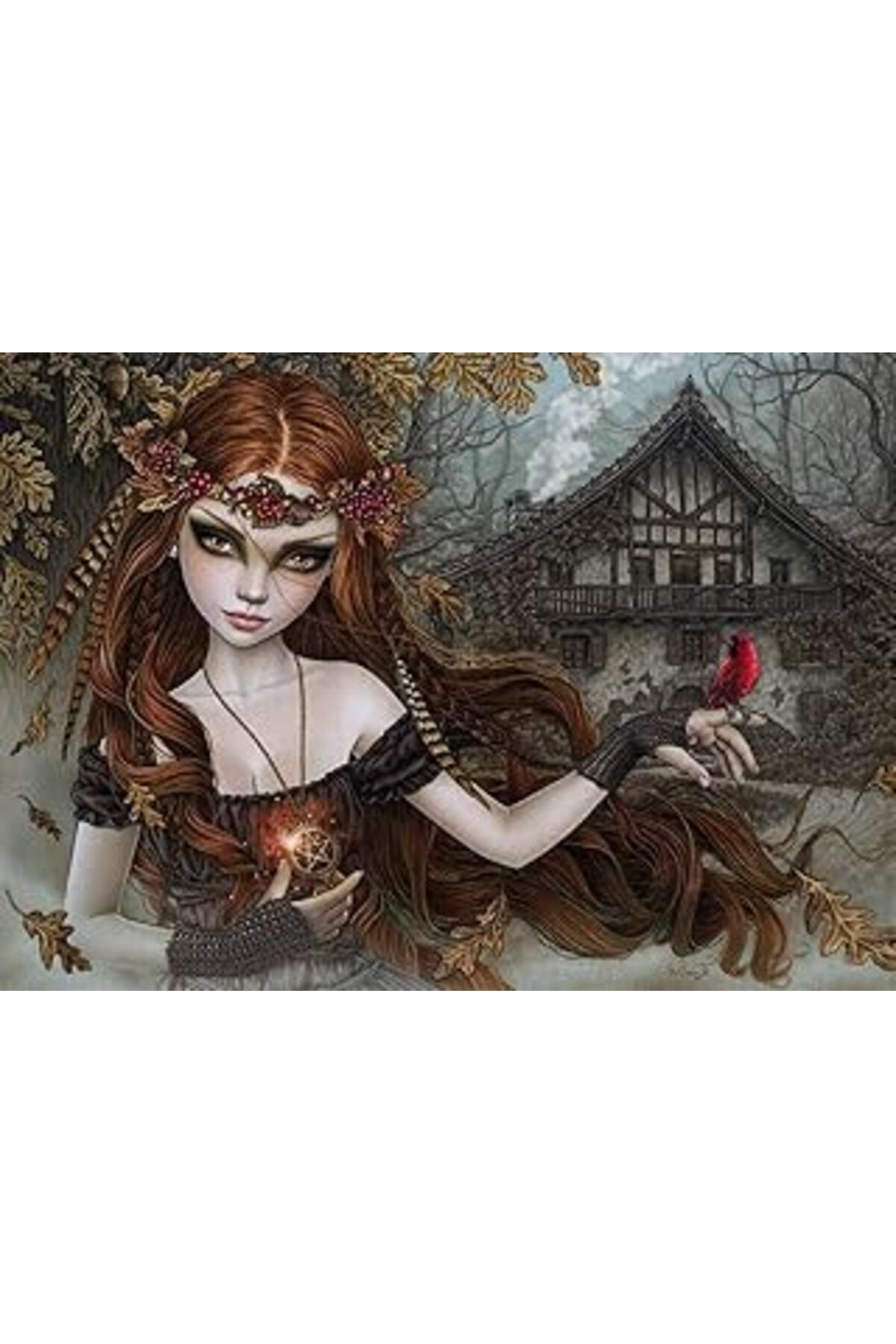 karadağsb Heye 29829 Redbird Standart 1000 Parça, Victoria Francés, Favole