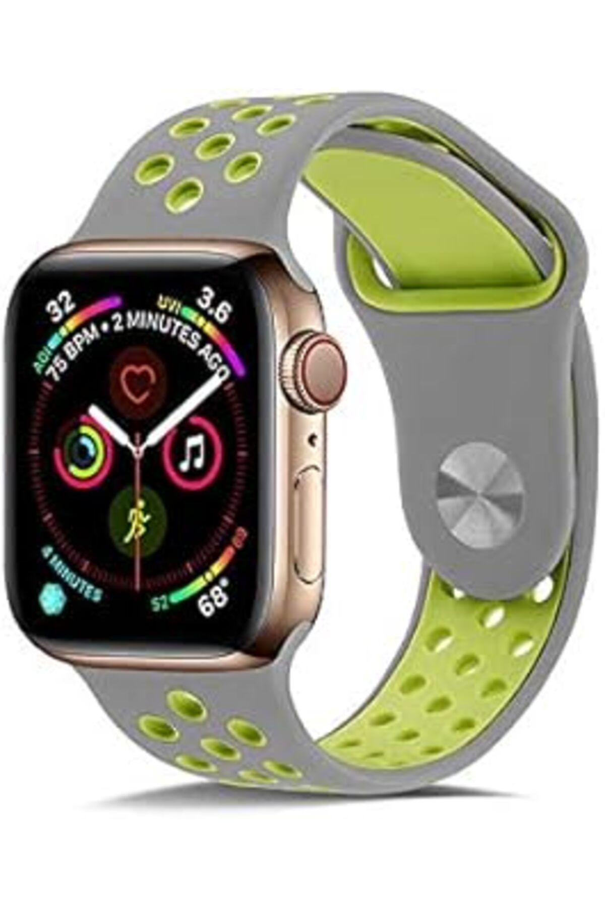 karadağsb Kılıf Merkezi Apple Watch 42Mm Krd-02 Silikon Kordon No3 Yeşil-Gri