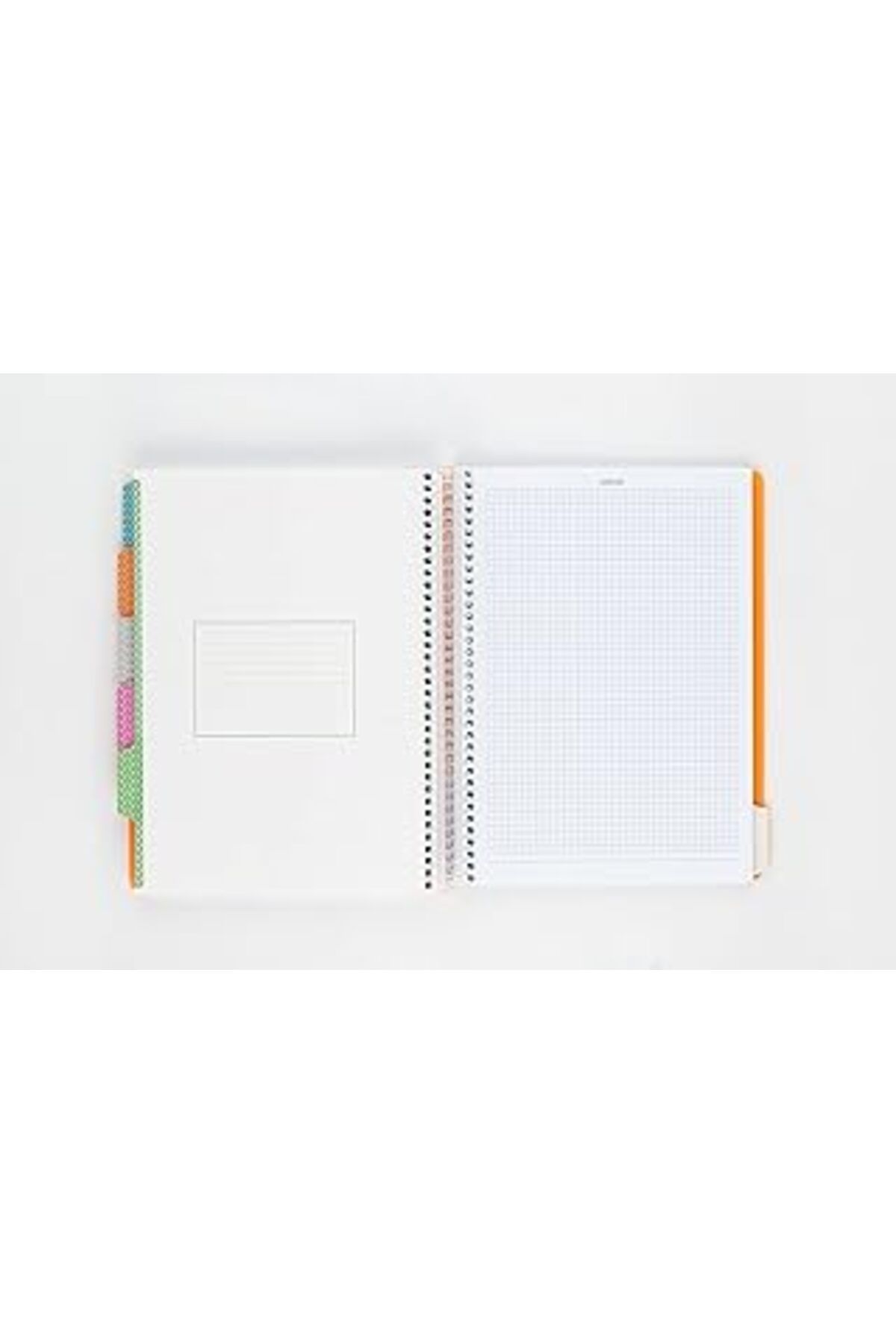 NZM TİCARET Meteksan Capricorn Neon Serisi, A4, 6 Konulu (3 Kareli, 3 Çizgili) 180 Yaprak Pp Kapaklı Spiralli D