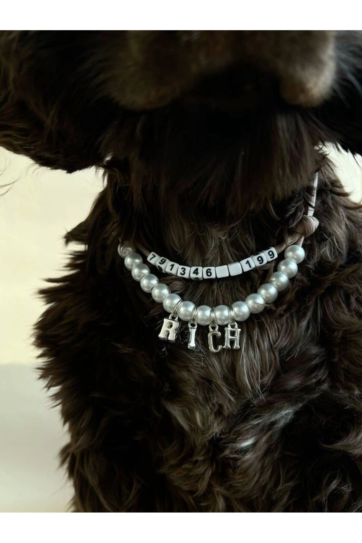 SHİNELİZE İnci kedi , köpek tasması özelleştirilebilir. İstenilen yazı ve rakamlar, isimli