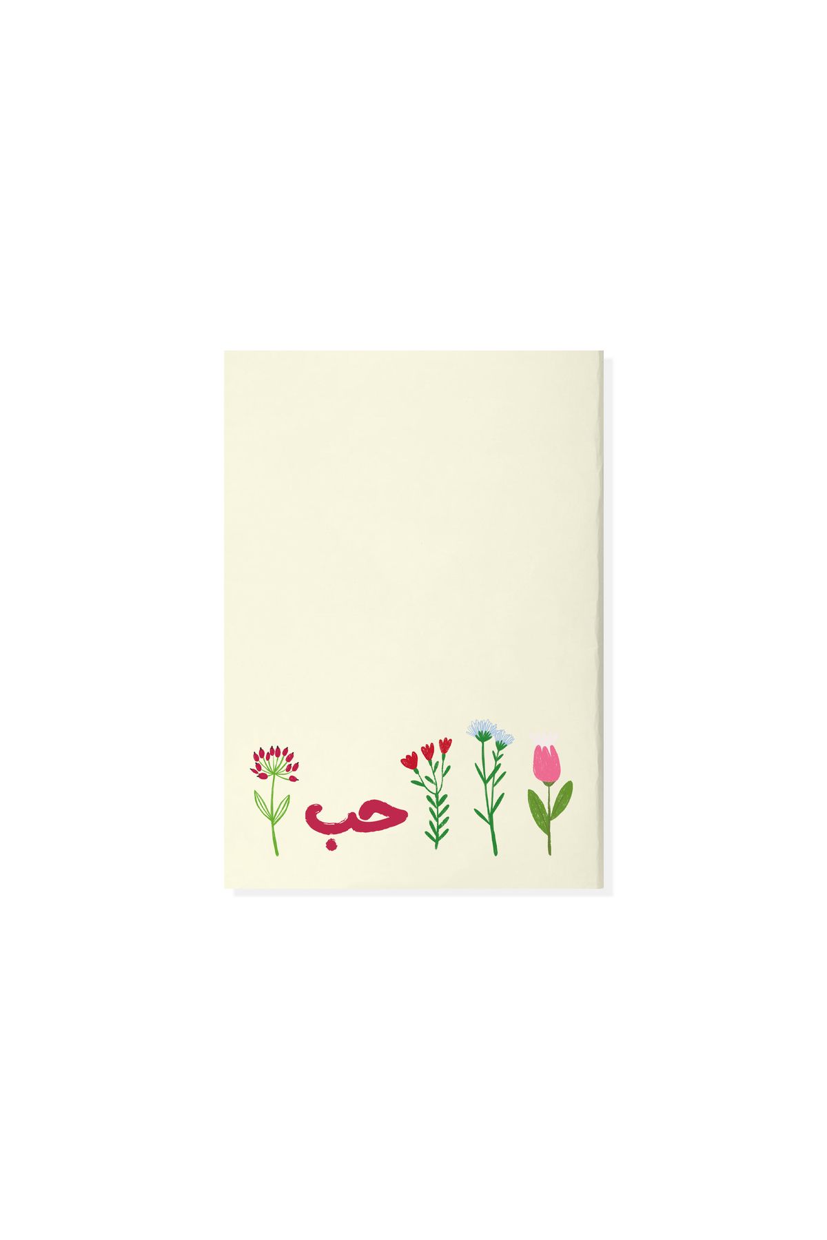 SEEN-Set of two notebooks with lines, growth 2