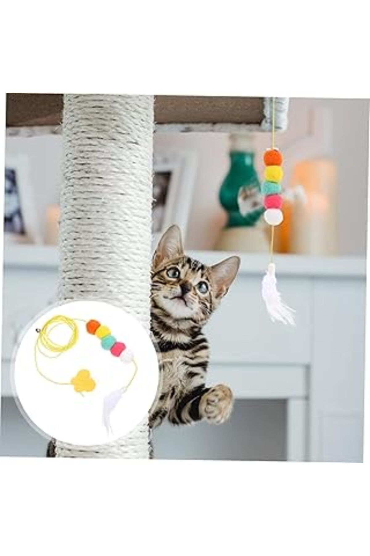 karadağsb Kyrotech 2 Adet Pupa Kedi Oyuncağı Kendinden Yapışkanlı, Elastik İpli, Evcil Hayvan Malzemeleri, Ke