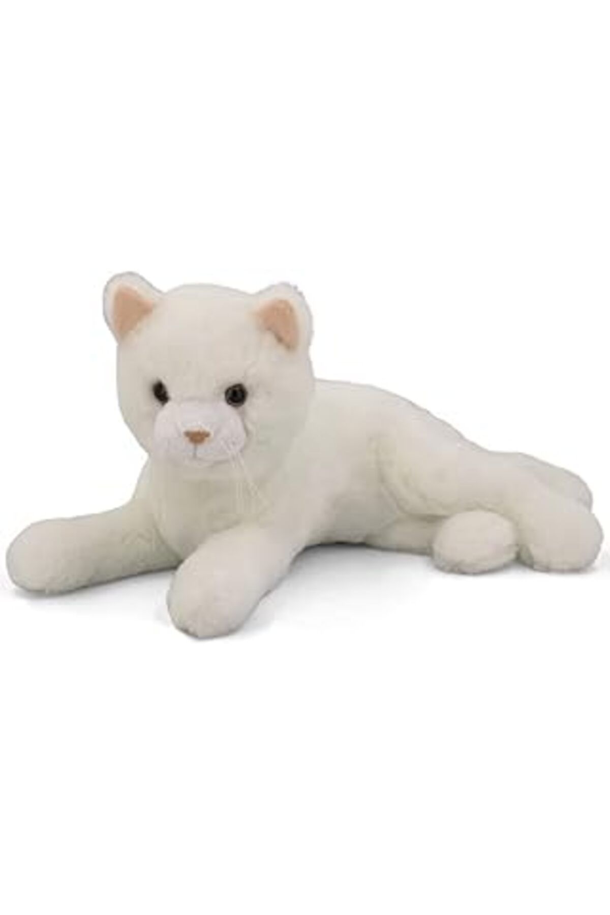 karadağsb Yatan Minnoş, Kedi, 31 Cm