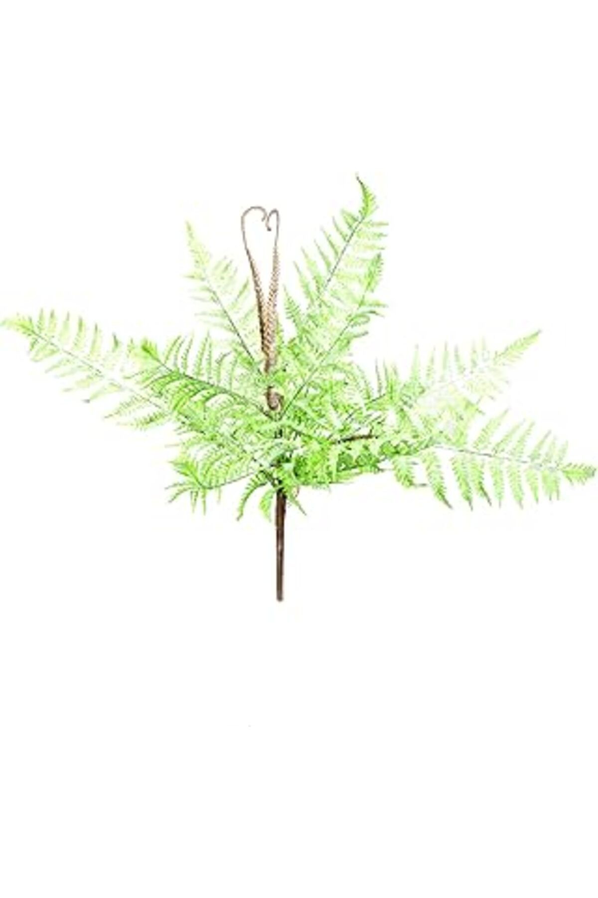 DENİZBİLİŞİM Herdekora Yapay Bitki Fujer/Eğrelti Otu 55 Cm.