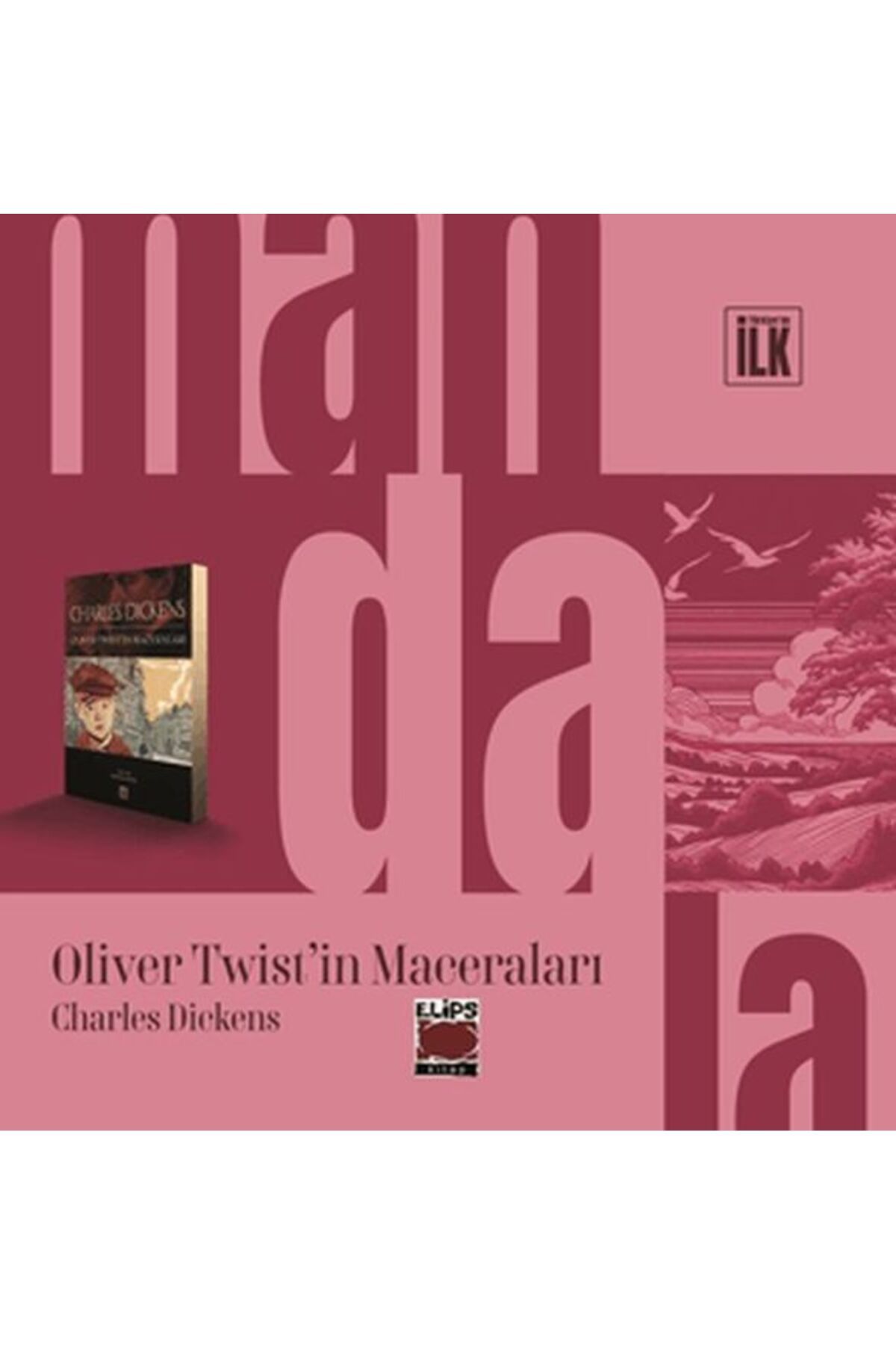 Elips Kitap Mandala Dünyası - Oliver Twist in Maceraları