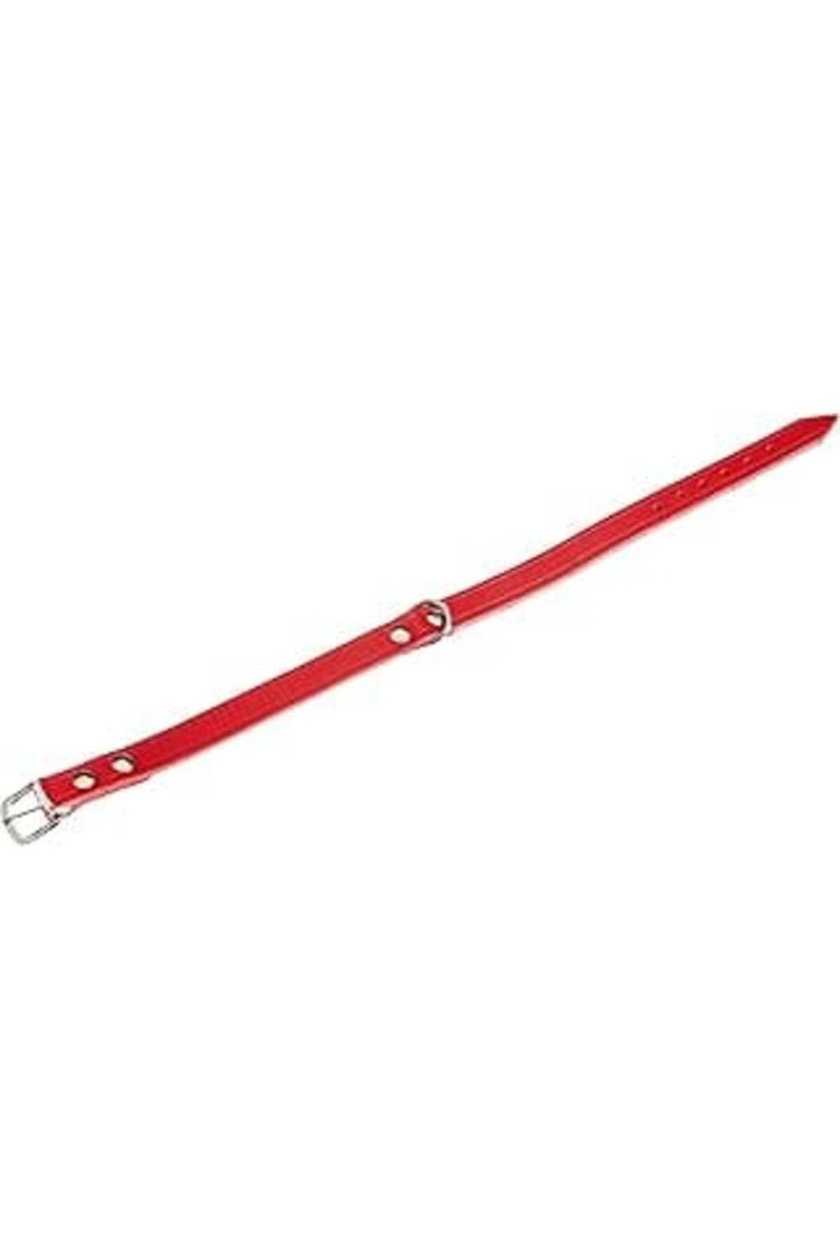 NZM TİCARET Karlie Deri Evcil Hayvan Boyun Tasması, 47 Cm-18 Mm, Kırmızı
