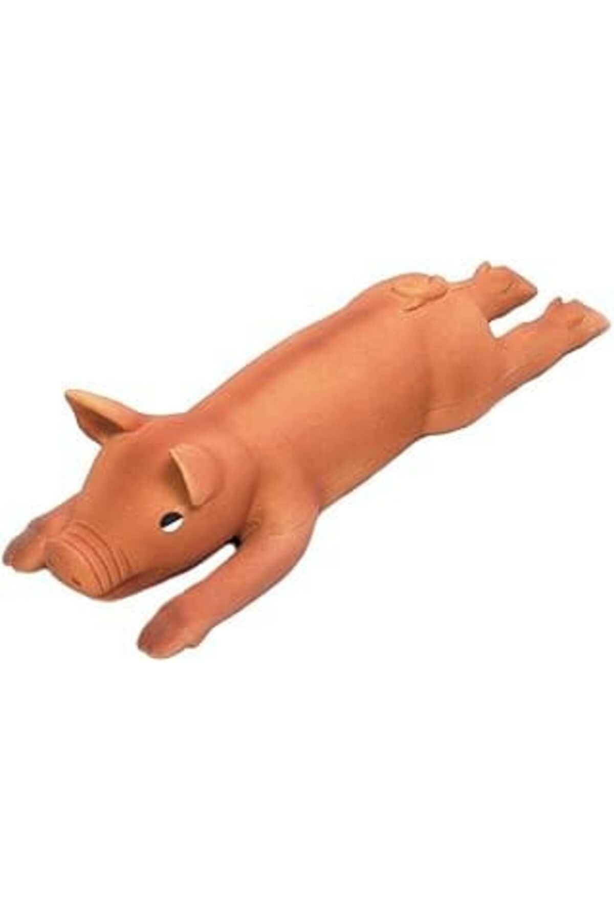 NZM TİCARET Karlie Latex Domuzcuk Köpek Oyuncağı 42X9 Cm