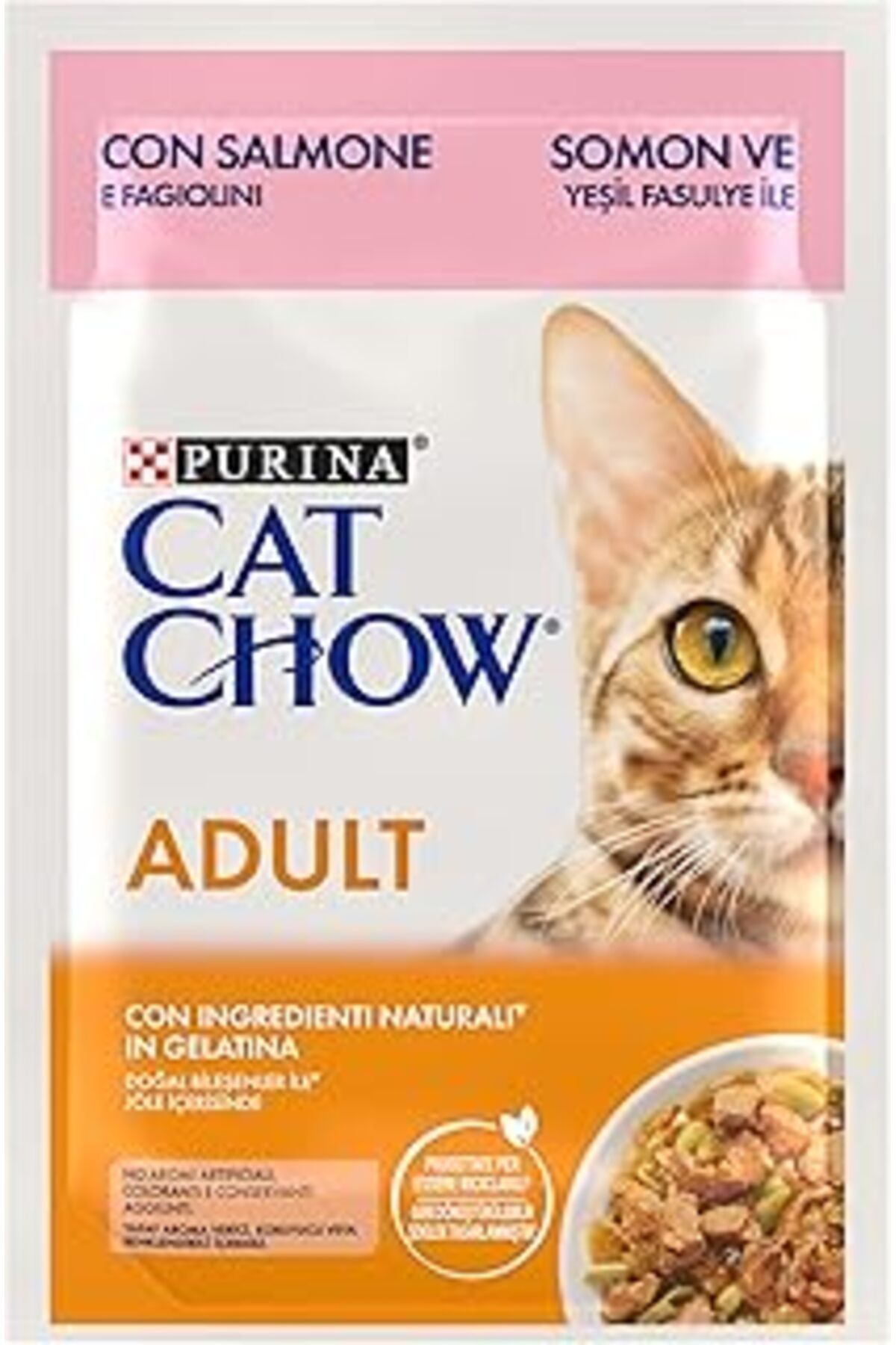 Pazarcan Purina Cat Chow Pouch Somonlu Ve Yeşil Fasulyeli Yetişkin Kediler İçin Yaş Mama 85Gr X 26 Adet