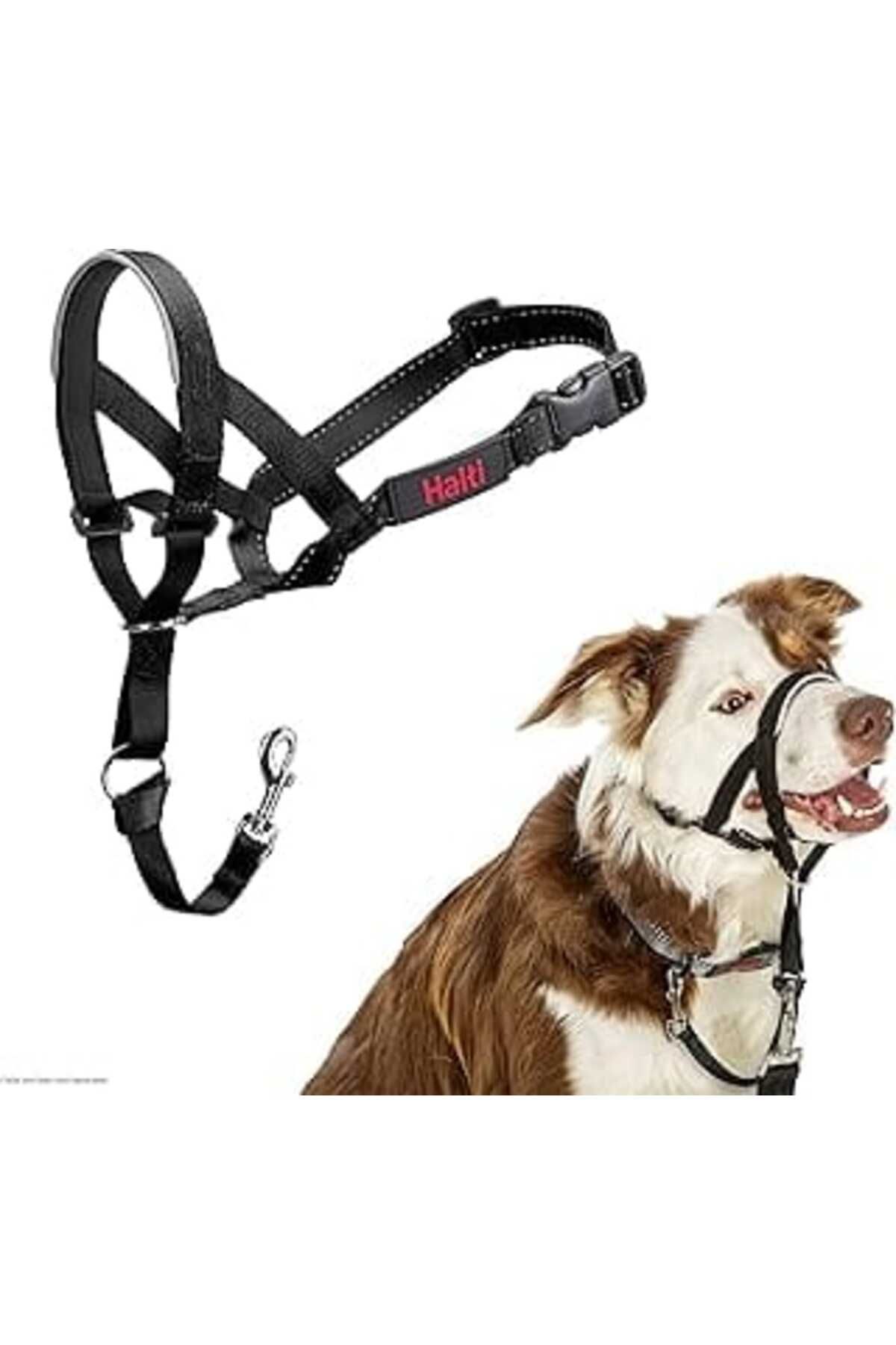 NZM TİCARET Şirket Hayvanlarının Halti Köpek Halter, Boyut 2 (35-48 Cm), Siyah