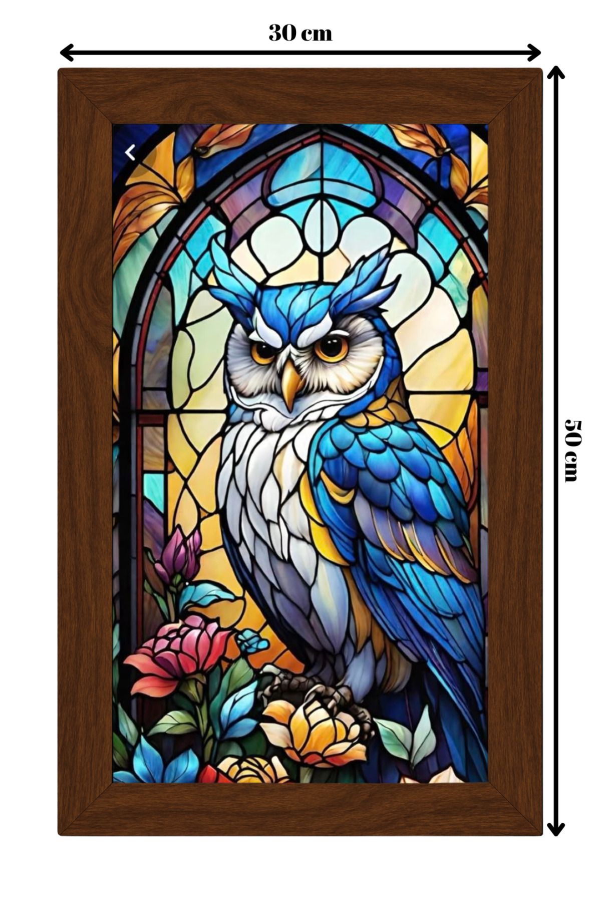 ColorCraft SERAMİK ÜZERİNE AHŞAP ÇERÇEVELİ 30x50cm TABLO NO:110